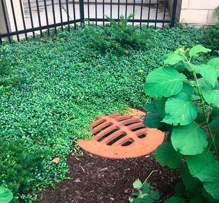 A garden area with lush greenery features a decorative terracotta-colored storm drain cover, surrounded by plants and bordered by a black metal fence.