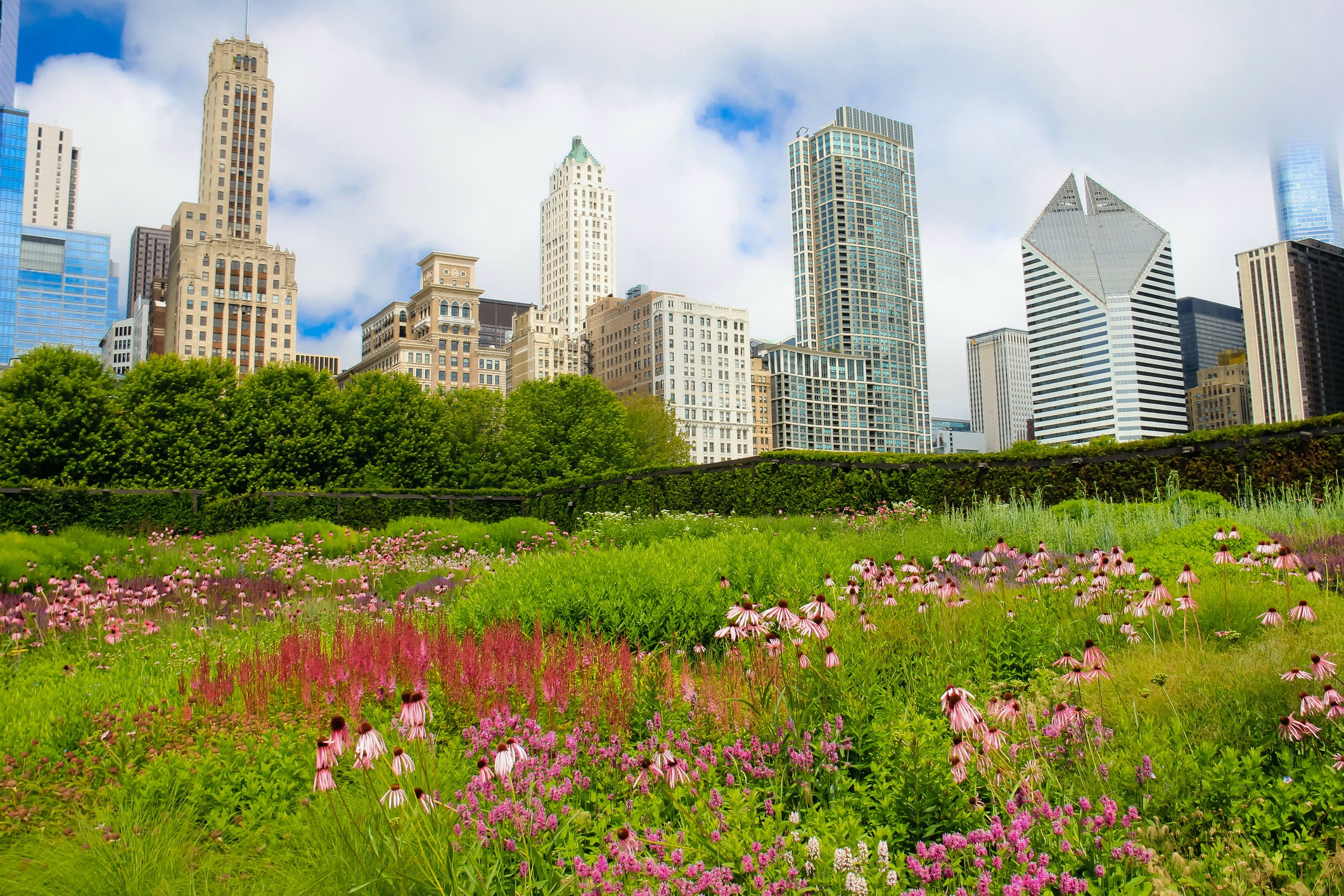Colorful flowers bloom in Millennium Park, Chicago, with the city skyline and Crain Communications Building in the background under a partly cloudy sky.