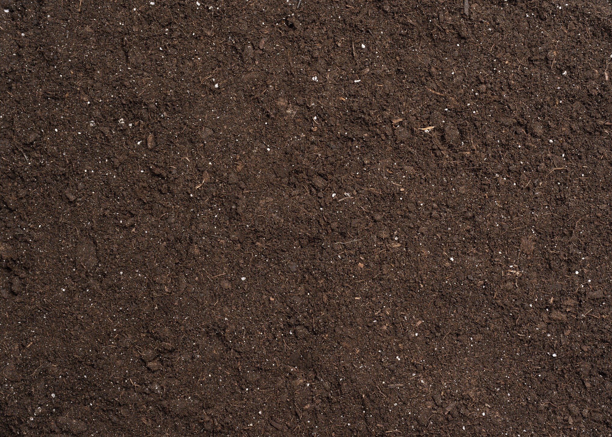 Close-up of rich, dark soil with small white particles evenly scattered throughout the surface; suitable for gardening or agricultural purposes.