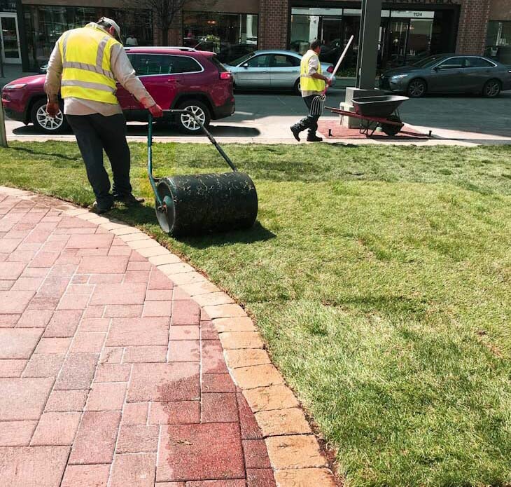Two people in safety vests are landscaping, using tools on grass near a brick sidewalk and parked cars.