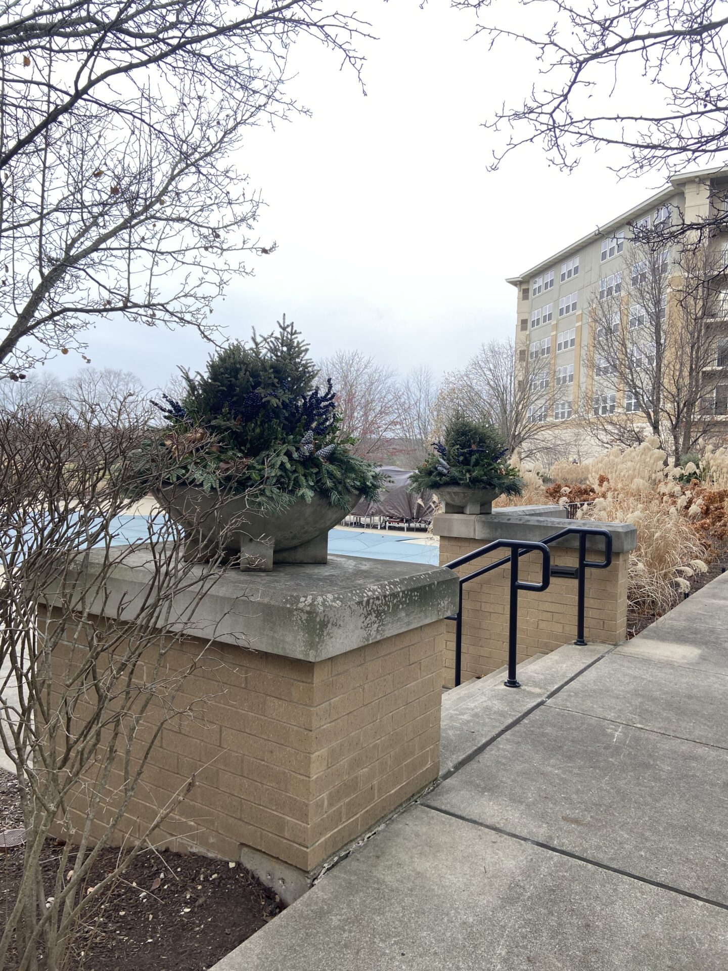 A building with large windows stands beside leafless trees and decorative planters. A cement pathway leads to a fenced area.