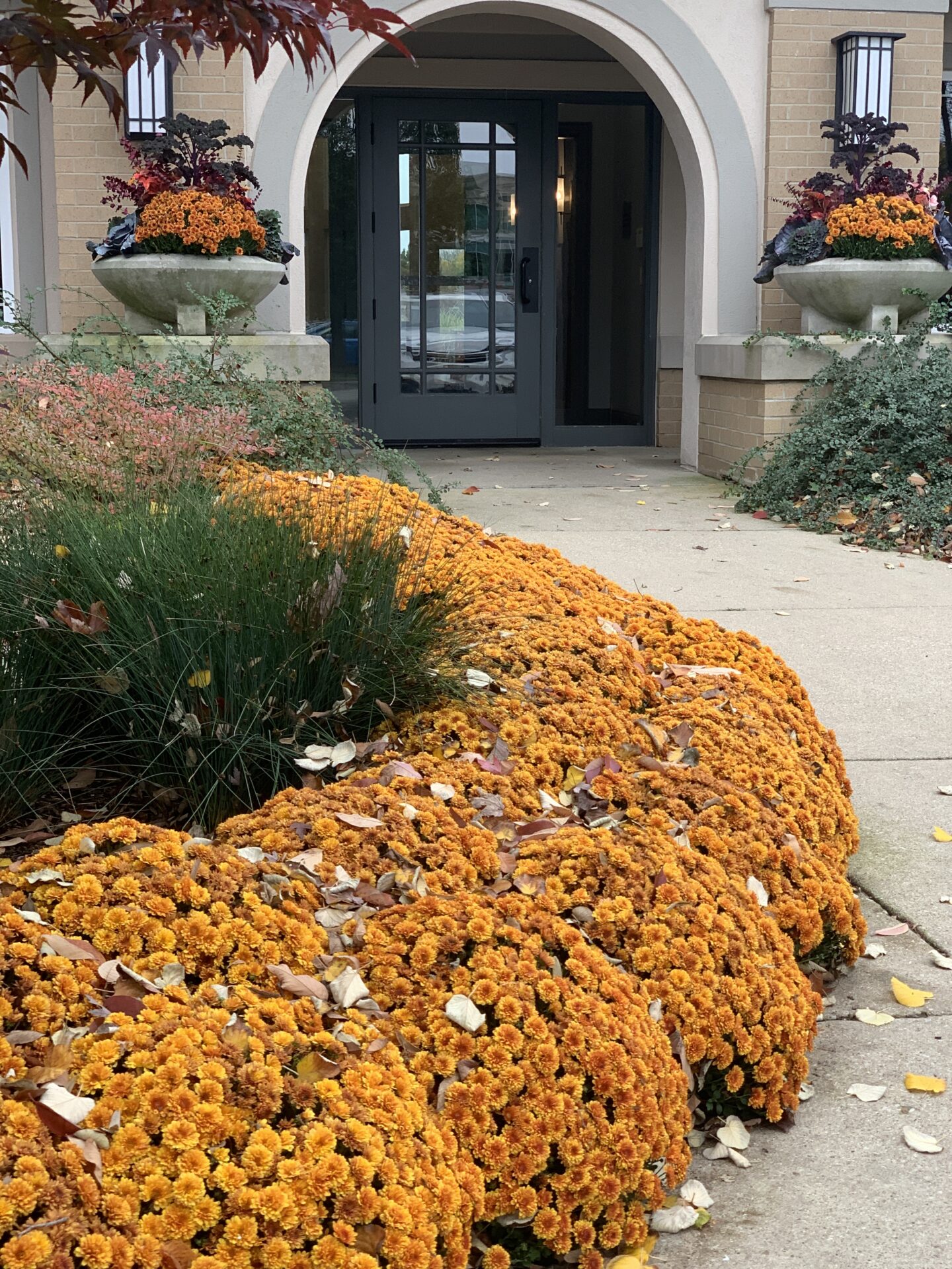 Arched entrance with glass doors adorned by planters. Lush orange flowers line the pathway, enhancing the autumnal ambiance of the scene.
