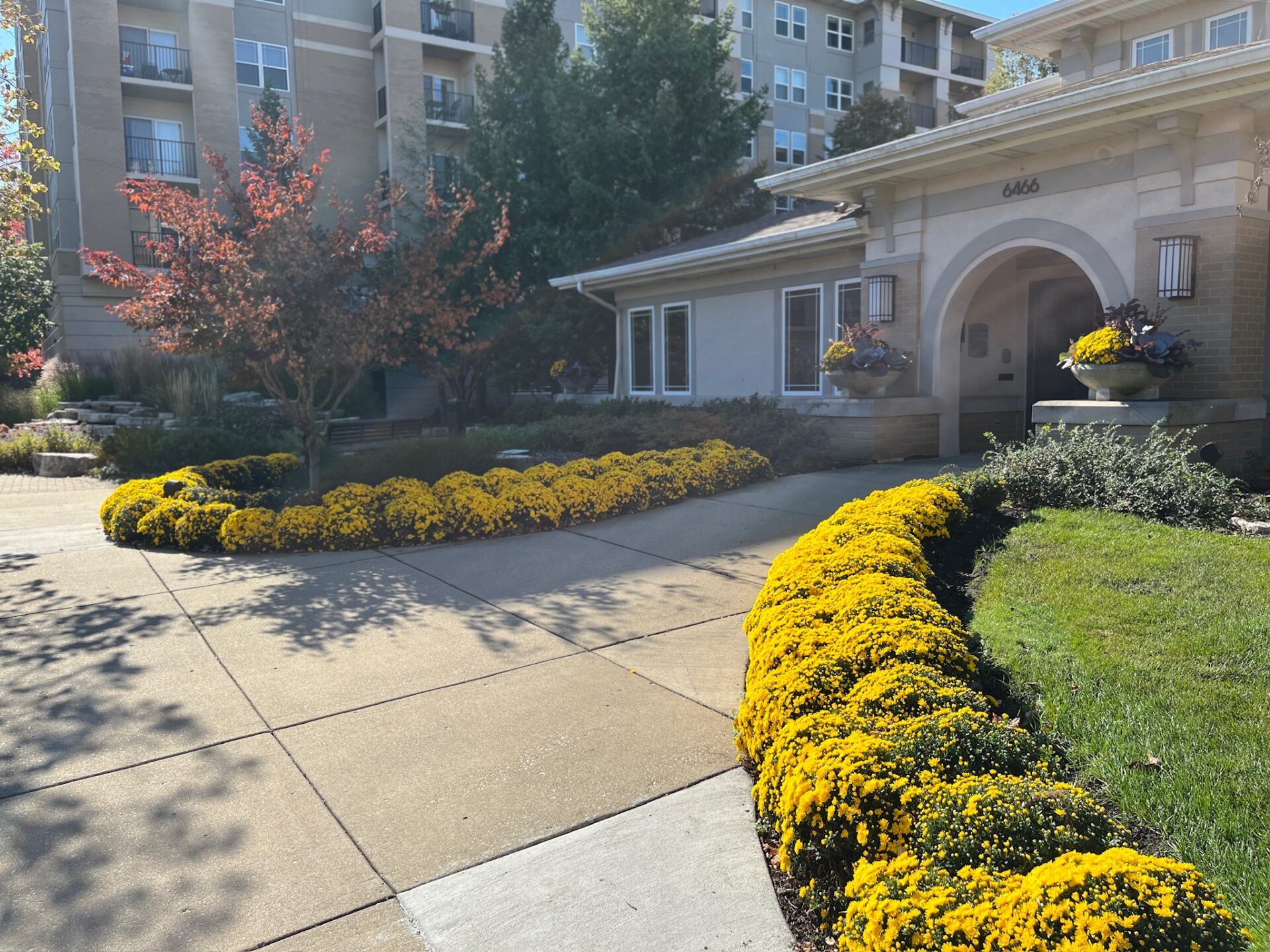 Apartment building entrance with landscaped path surrounded by vibrant yellow flowers. Trees with autumn leaves add seasonal charm to the scene.