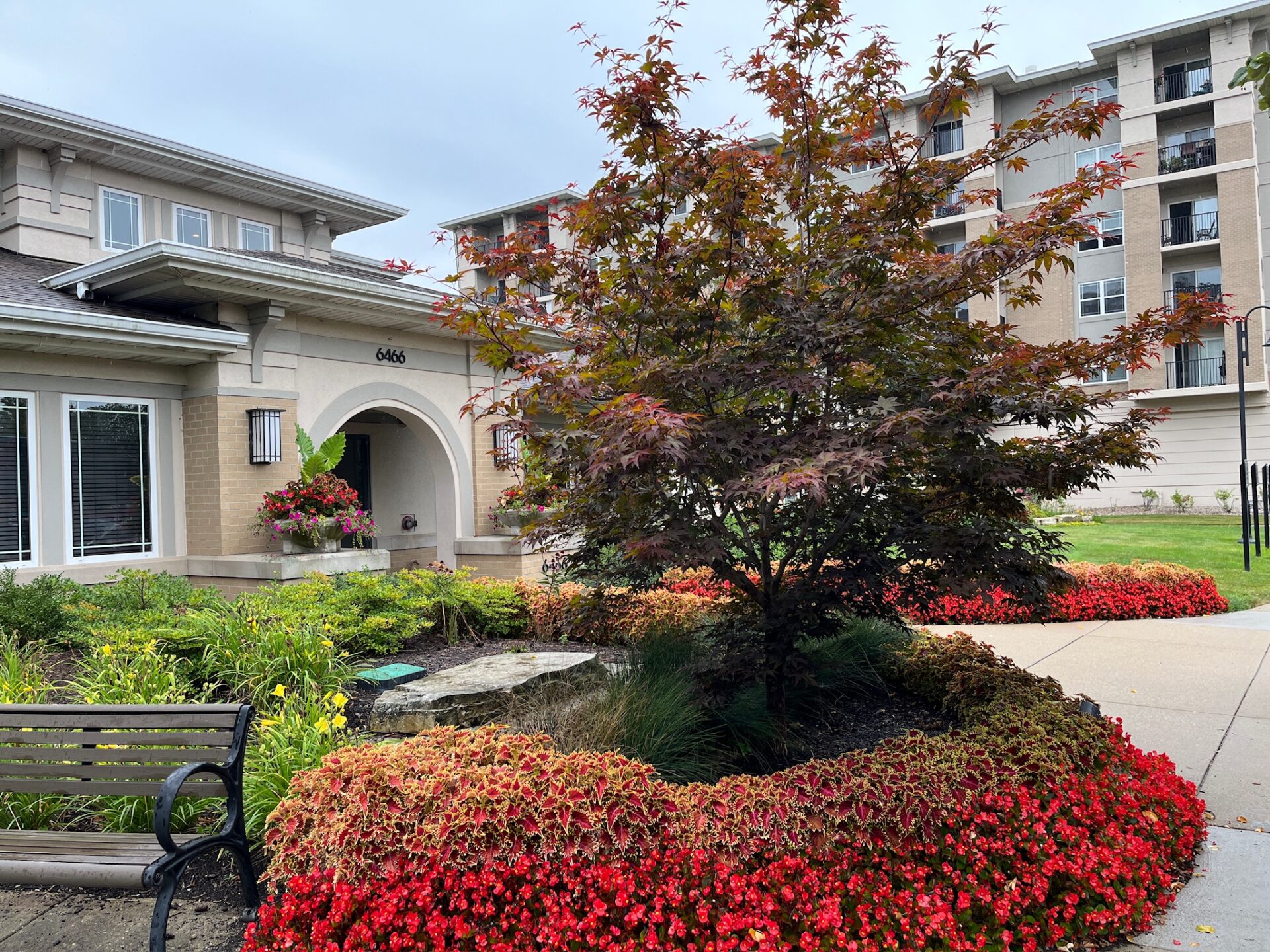 A landscaped garden with vibrant red flowers surrounds a modern building, featuring large windows and an arched entrance, numbered 6466.