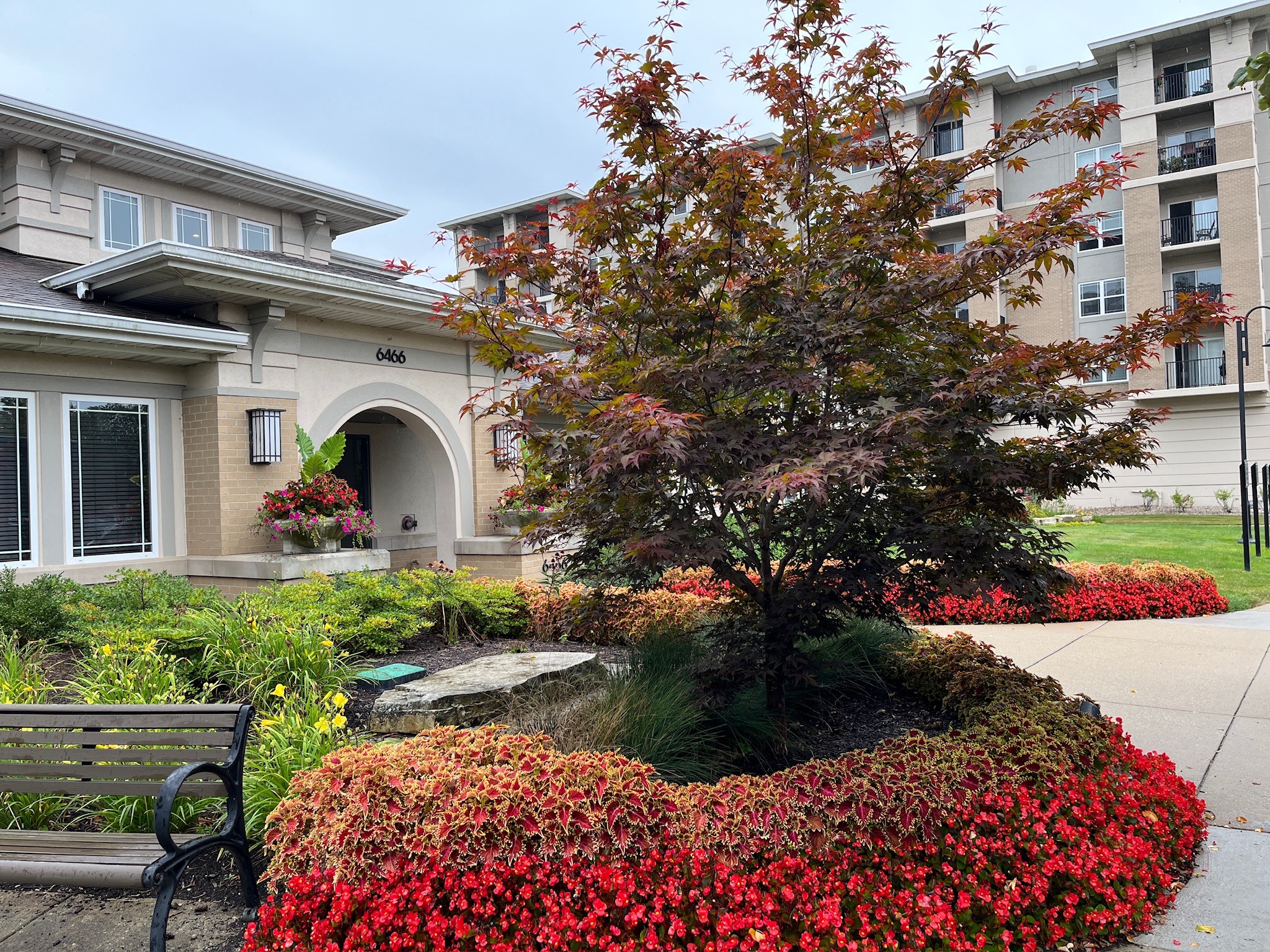 A landscaped garden with vibrant red flowers surrounds a modern building, featuring large windows and an arched entrance, numbered 6466.
