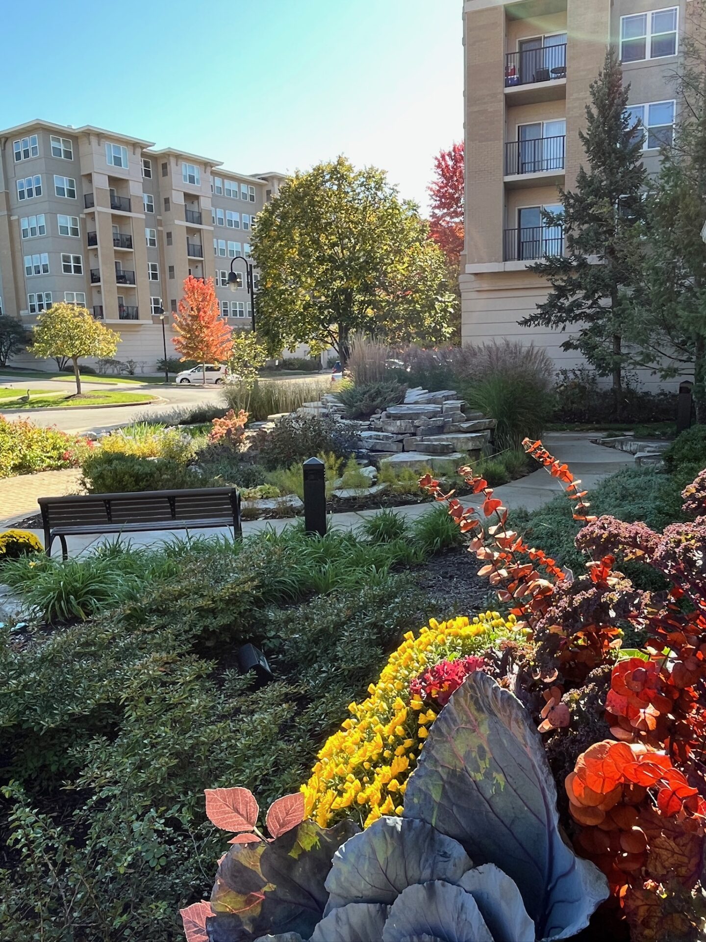 Urban garden scene with colorful plants, a bench, and water feature. Modern apartment buildings in the background amidst autumn trees.