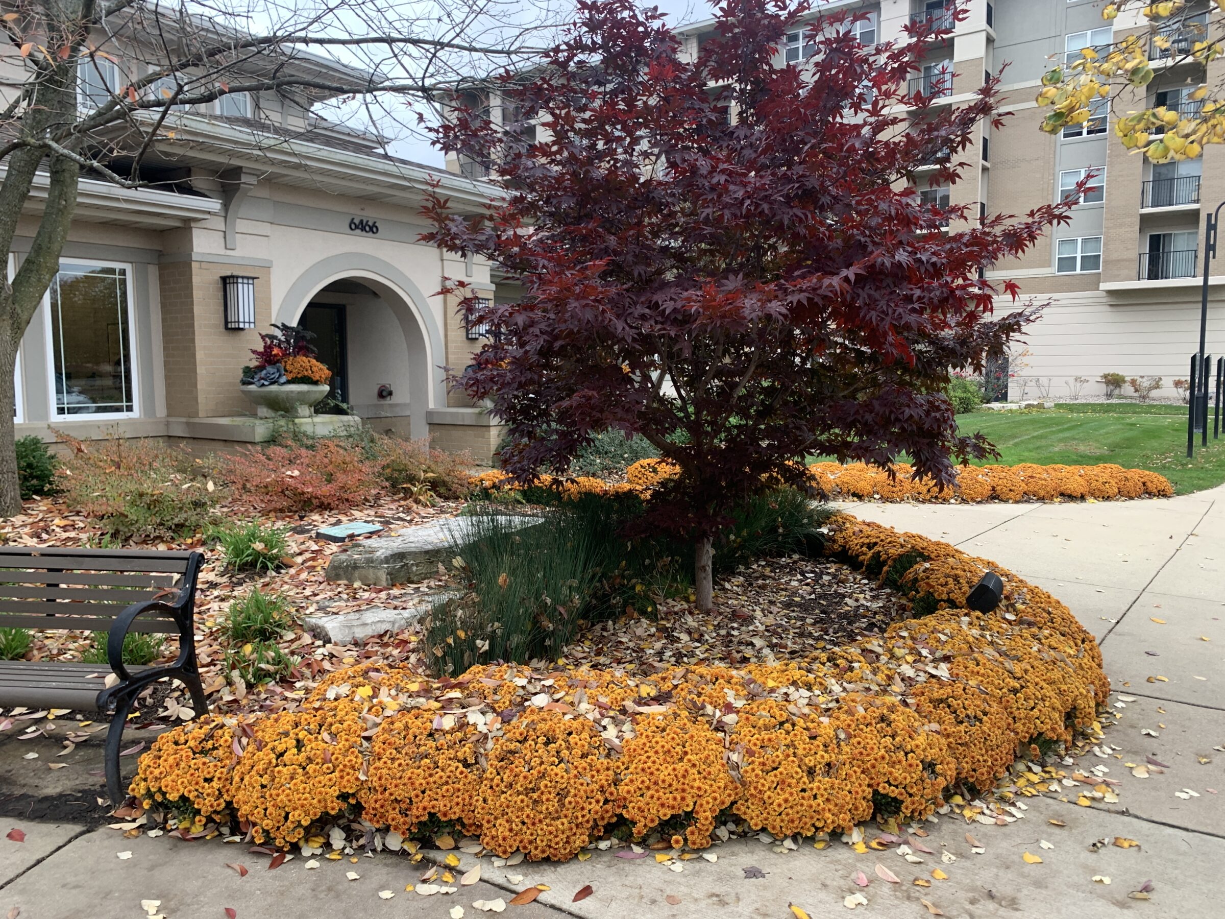 A well-maintained garden with colorful flowers and autumn foliage surrounds a modern building. A bench offers a place to sit and relax.