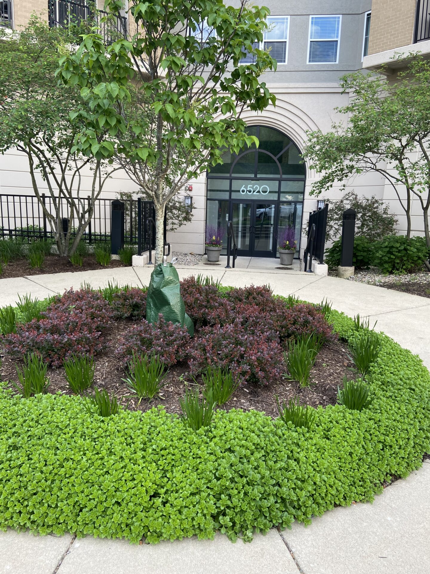 A circular garden with a small tree and plants is in front of a building entrance labeled 