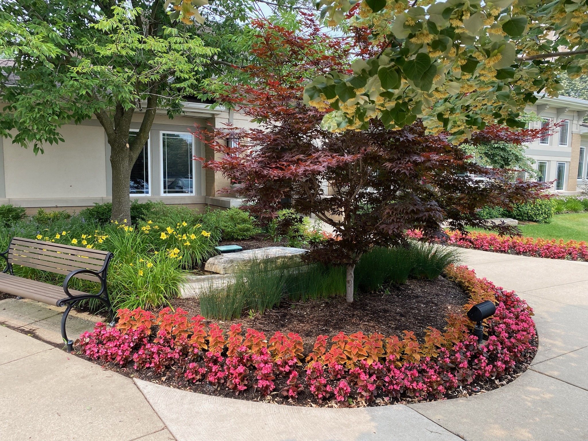 A landscaped garden with vibrant flowers, two trees, a bench, and a building in the background, creating a serene, inviting atmosphere.