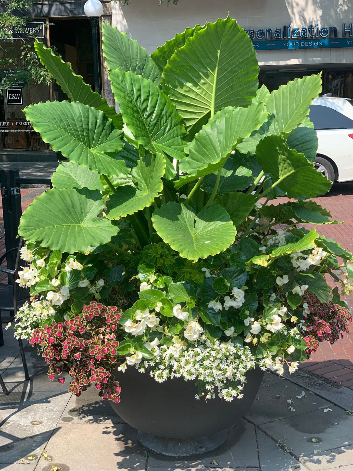 A large planter with lush green leaves and colorful flowers on a brick-lined sidewalk near a storefront, located outside.