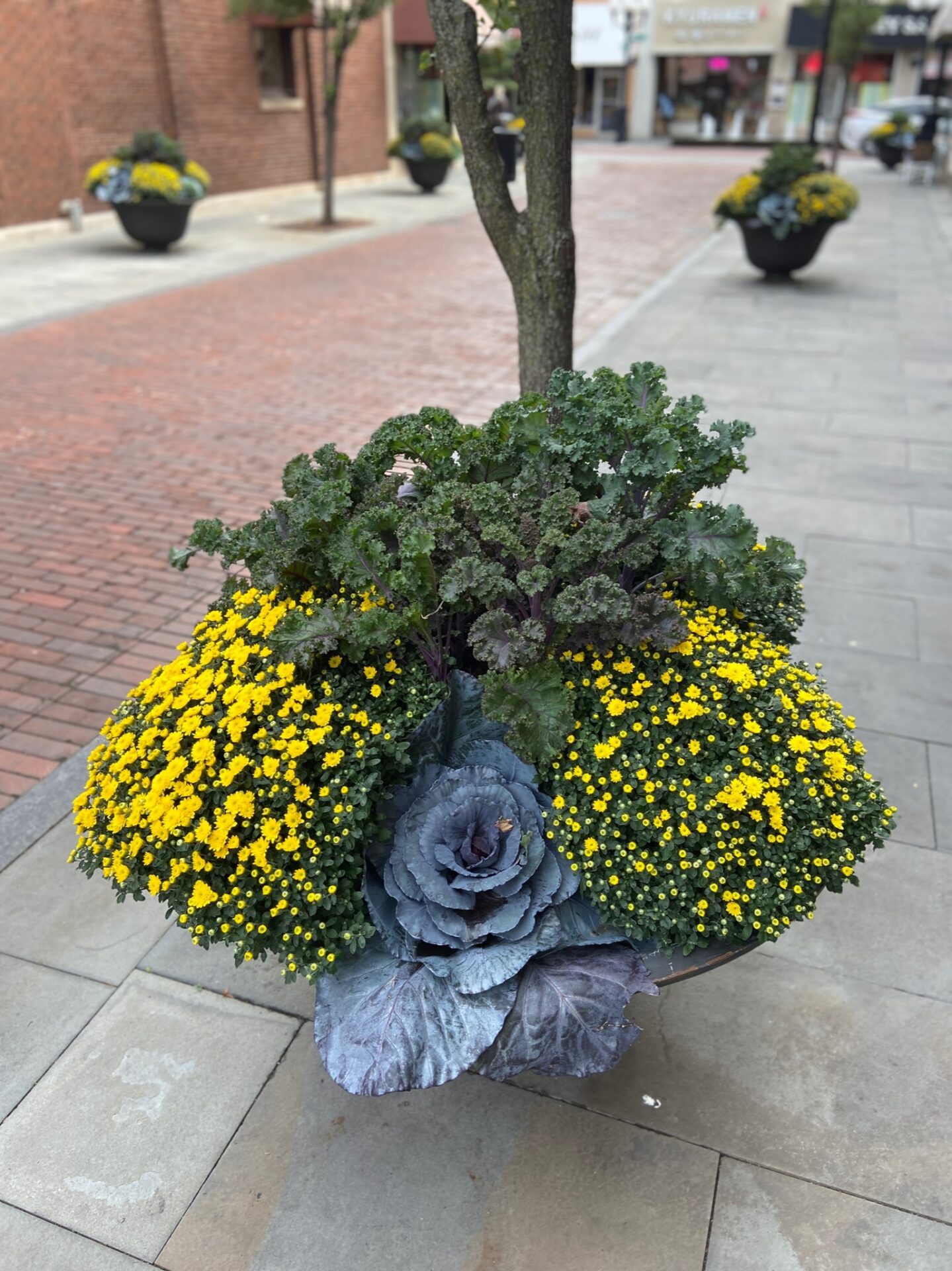 A vibrant planter with yellow flowers and leafy greens decorates a brick-paved urban street, surrounded by shops and trees.