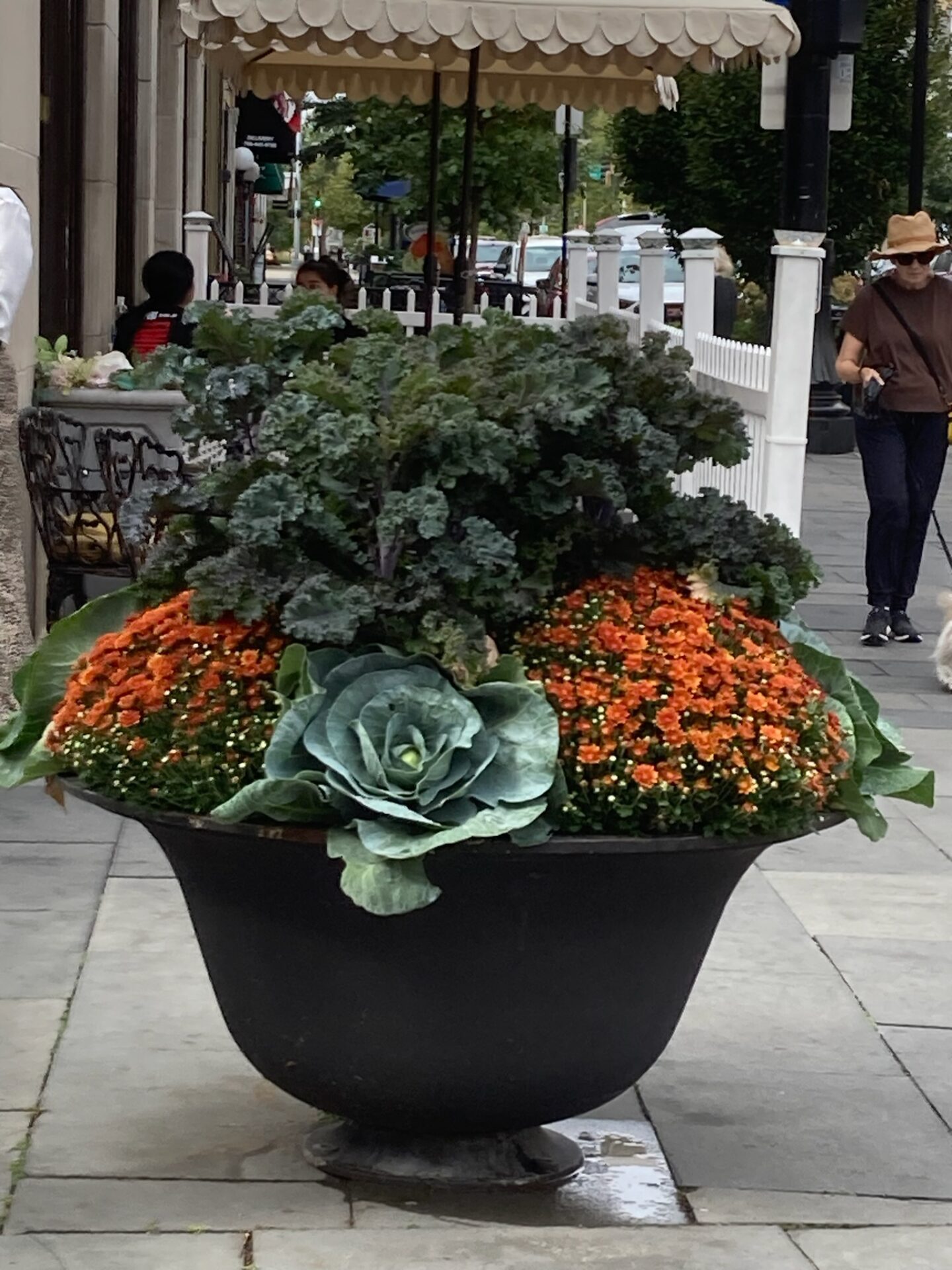A large planter with kale and orange flowers on a sidewalk, beside a cafe with seated persons under an umbrella.
