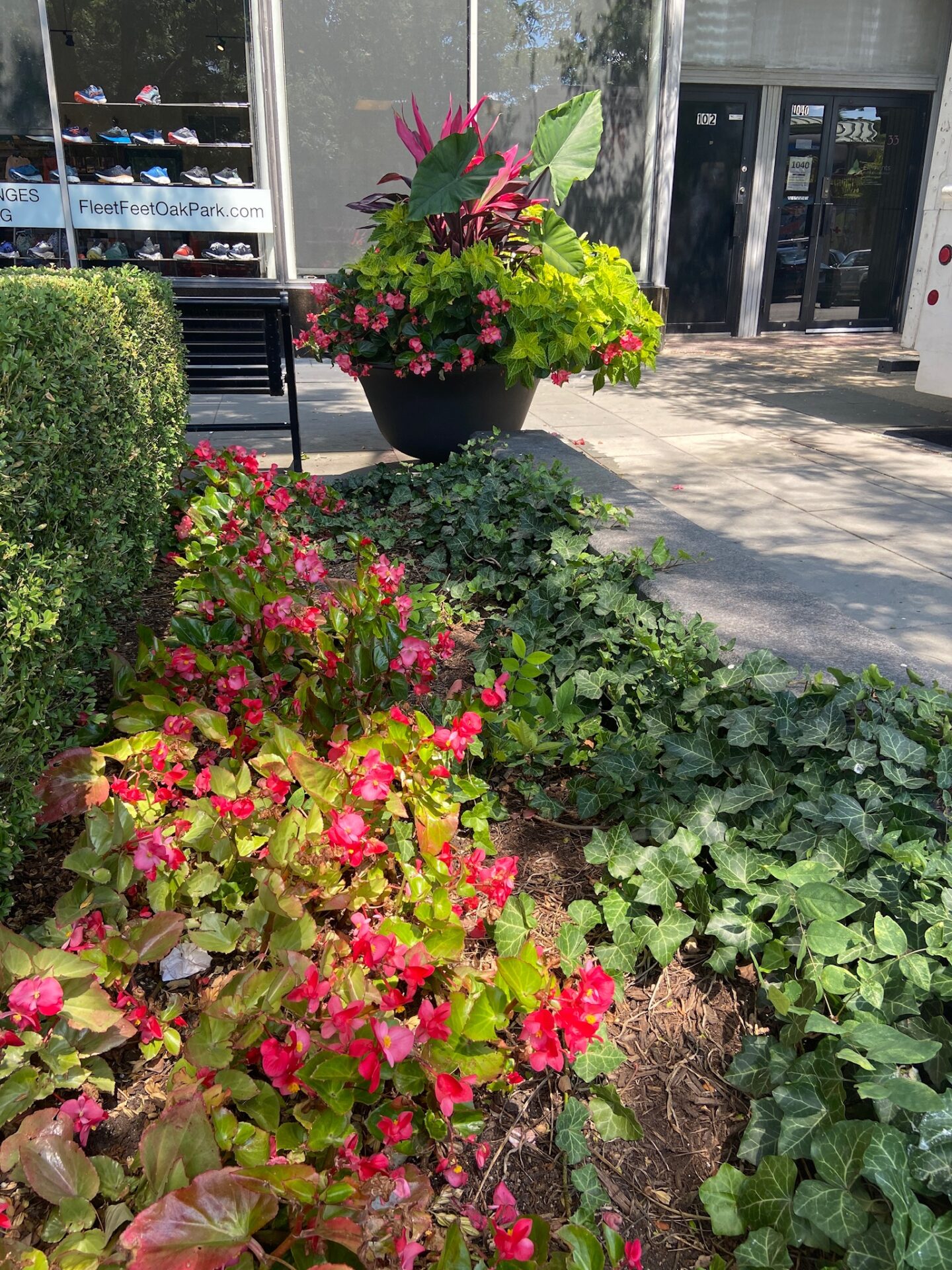 Colorful flowers and lush greenery surround a business entrance. A shoe display is visible through large windows, with sunlight casting shadows on the sidewalk.