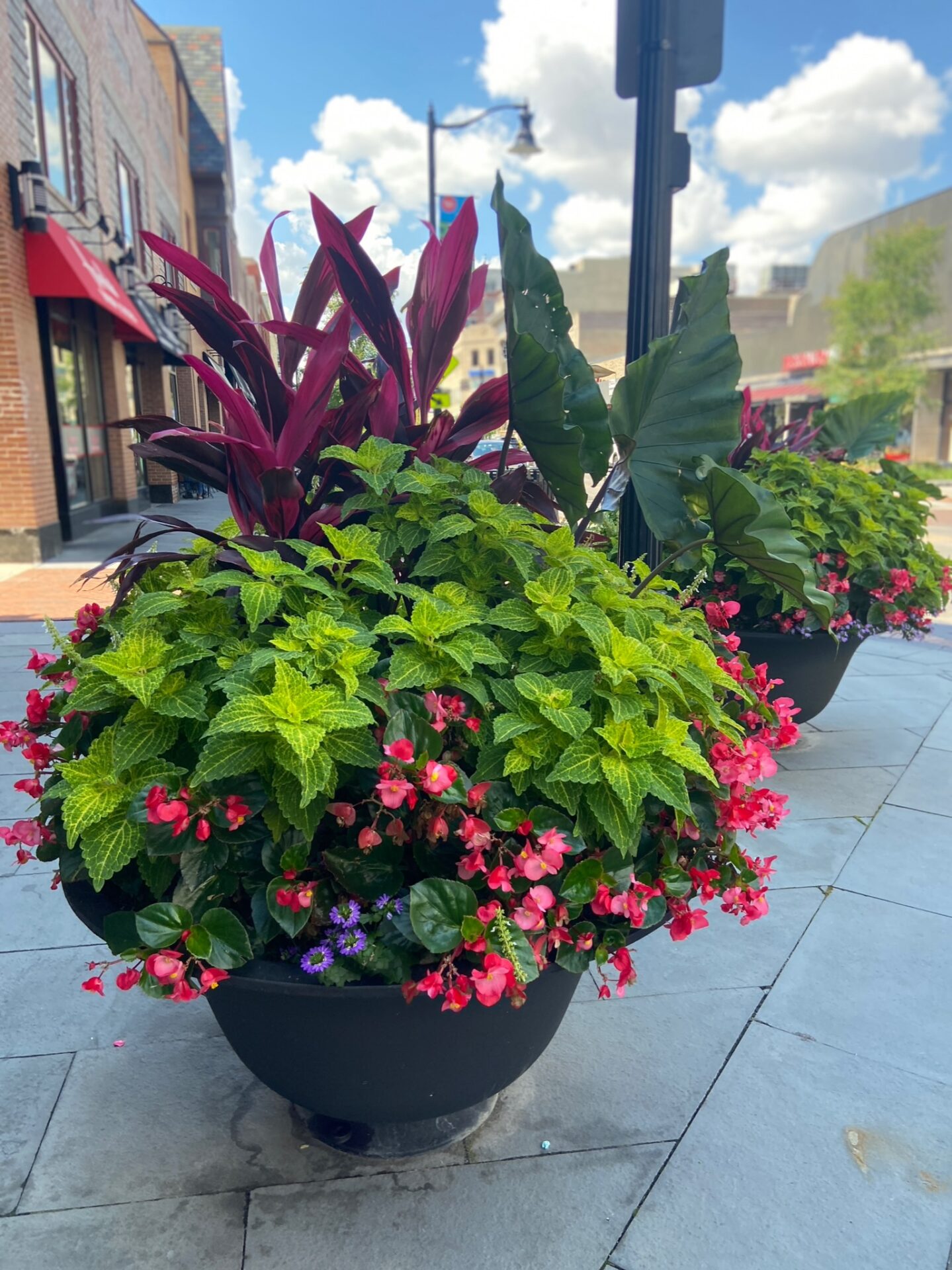 Colorful potted plants line a city sidewalk, with brick buildings and a red awning in the background under a cloudy blue sky.