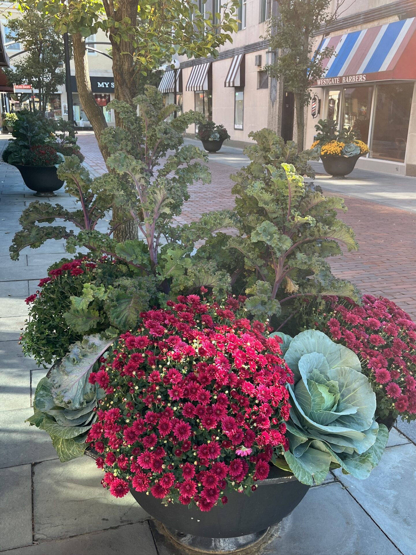 A vibrant urban streetscape with colorful potted plants and flowers. Brick sidewalk lines storefronts with striped awnings, reflecting a cozy neighborhood feel.