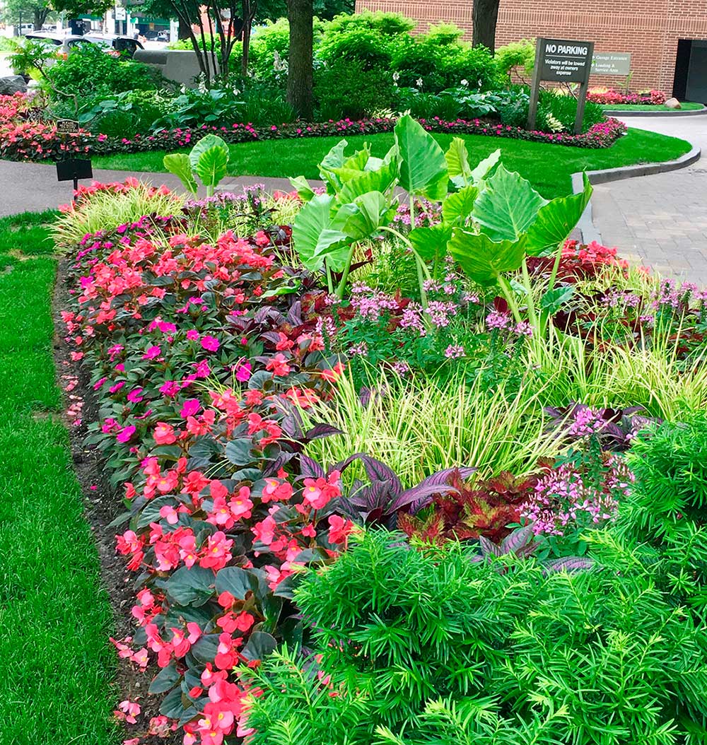 Colorful flower bed with red, pink, and green plants alongside a walkway. A 
