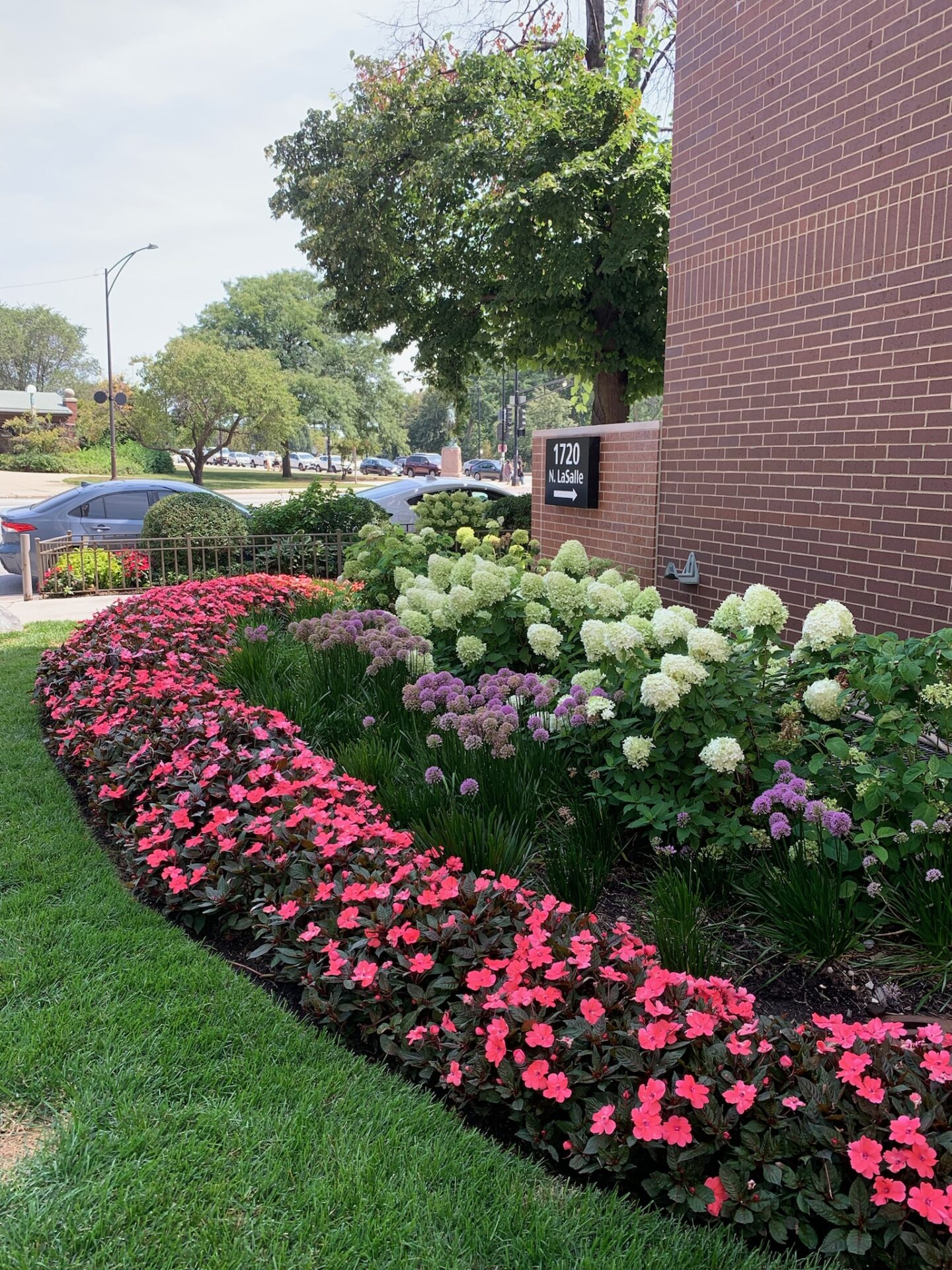 Lush flower garden with pink and white blossoms lines a brick building at 1720 N. LaSalle, vibrant greenery under a sunny sky.