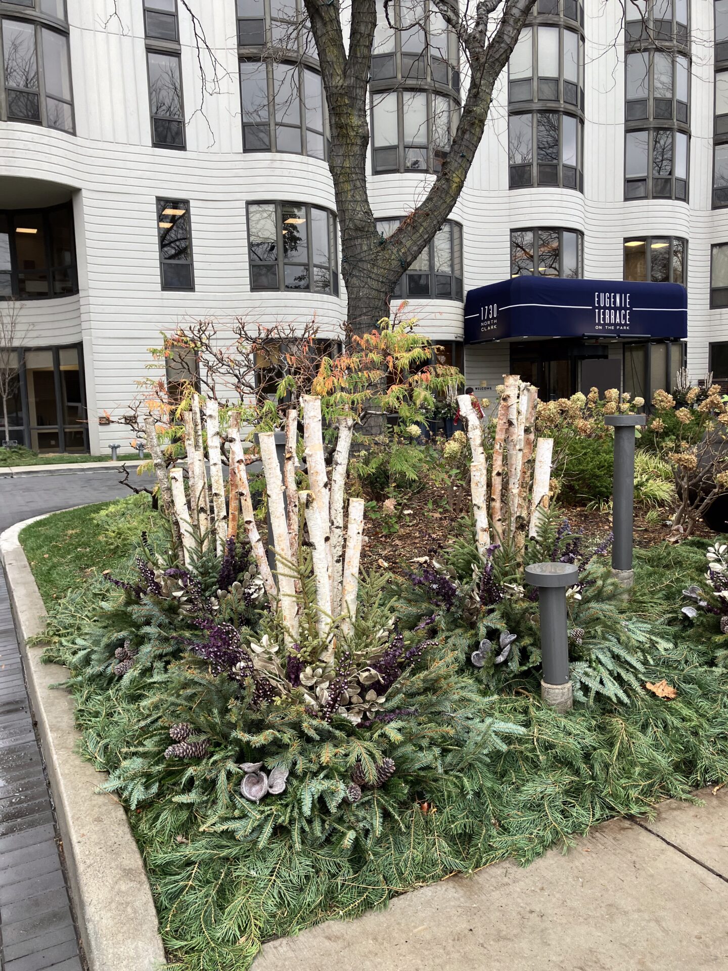 A landscaped area with evergreen plants is in front of the modern Eugene Terrace building, featuring distinctive arched windows.