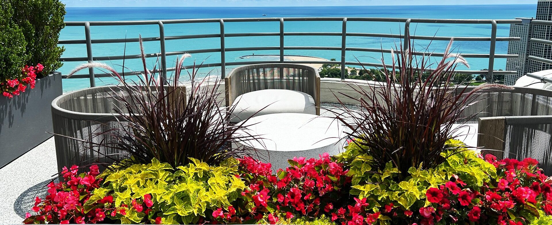 Vibrant rooftop garden featuring colorful flowers and seating, overlooking an ocean view with clear skies, serene ambiance, and waterfront buildings.