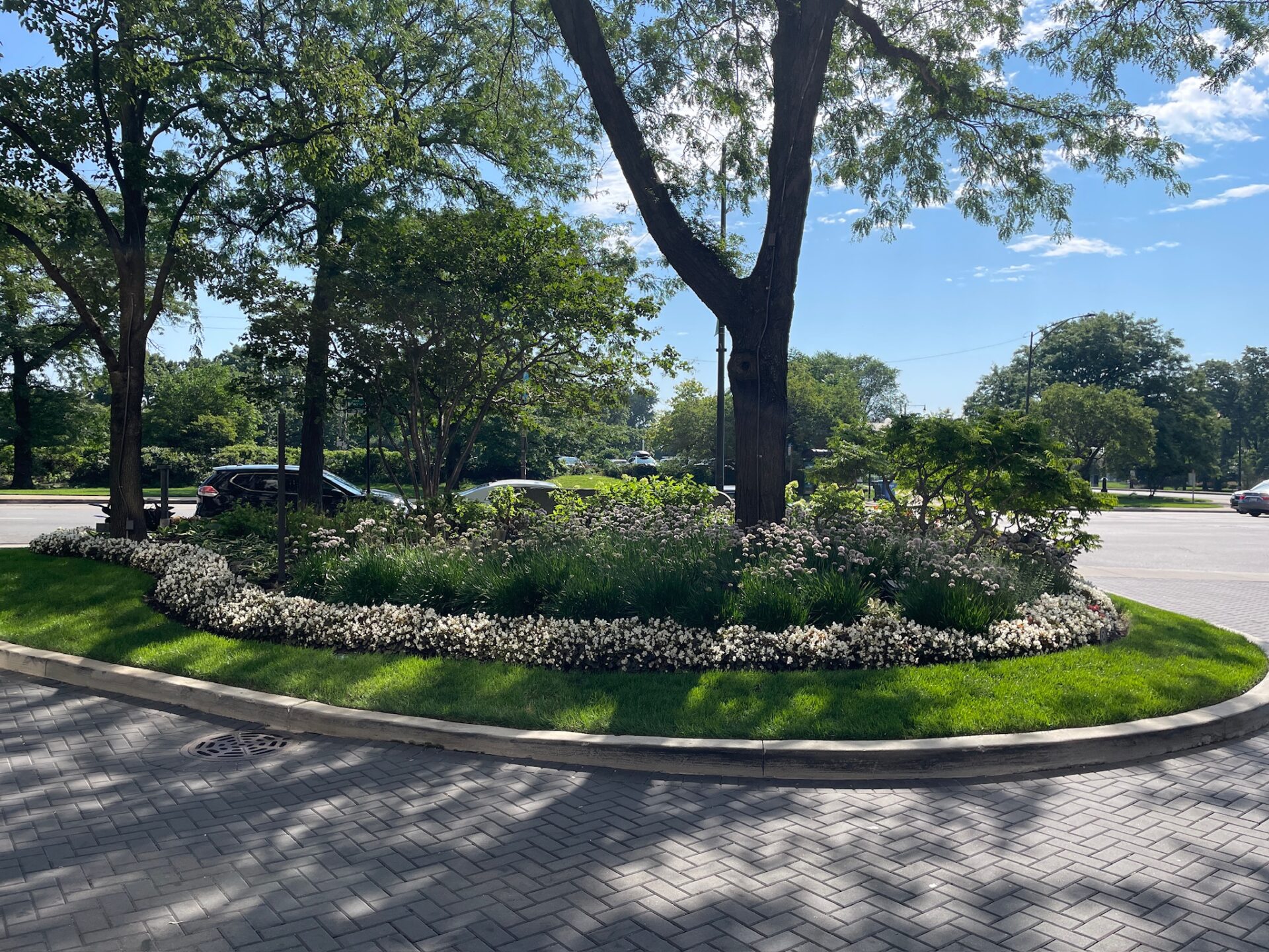 A lush garden with trees and flowers on a sunny day, bordered by a walkway and street. No recognizable landmarks or historical buildings.