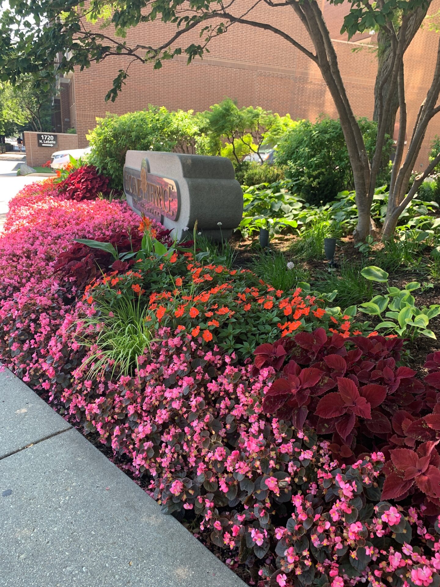 Colorful flower bed with pink and red blooms lines a sidewalk. Behind, a sign reads “Colonial Terrace Apartments.” Brick building and trees are visible.
