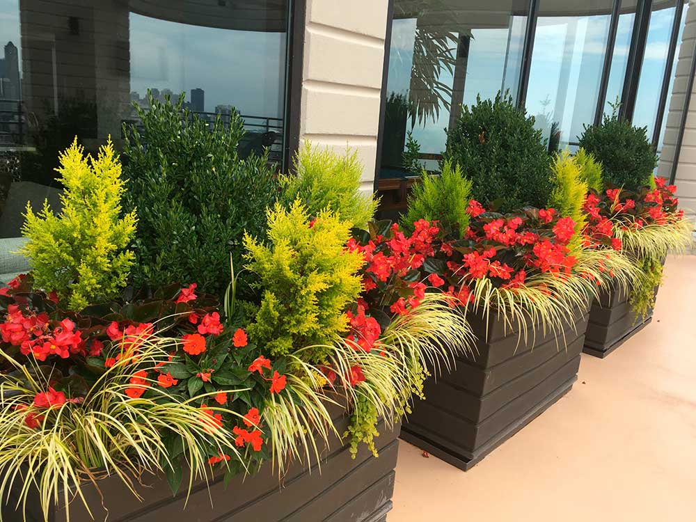 Colorful planters with red flowers and green shrubs line a terrace, overlooking a skyline through glass windows. A modern cityscape is visible.