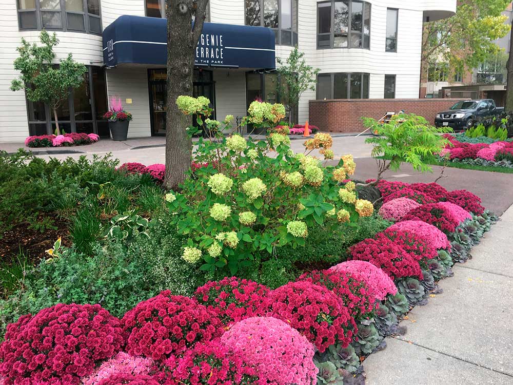 Colorful flower garden with pink and green plants outside a modern building entrance, featuring 