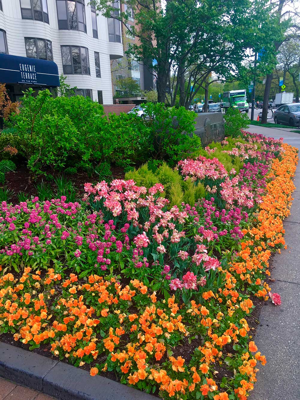 Colorful flower bed in front of Eugenie Terrace, with a sidewalk and trees lining the street. Building facade visible in the background.