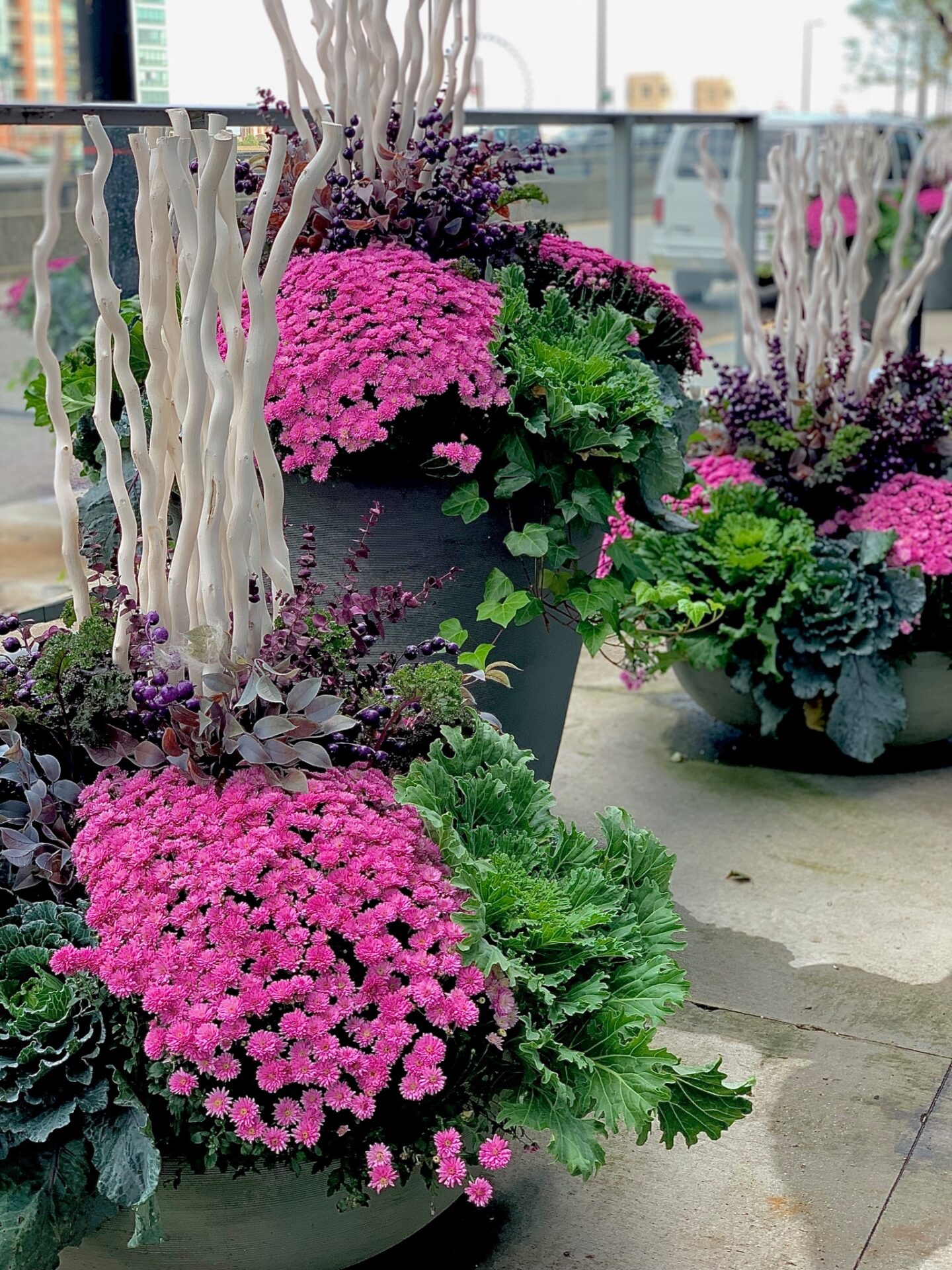 Vibrant pink flowers, green foliage, and decorative white branches in large planters. A cityscape and Ferris wheel are visible in the background.