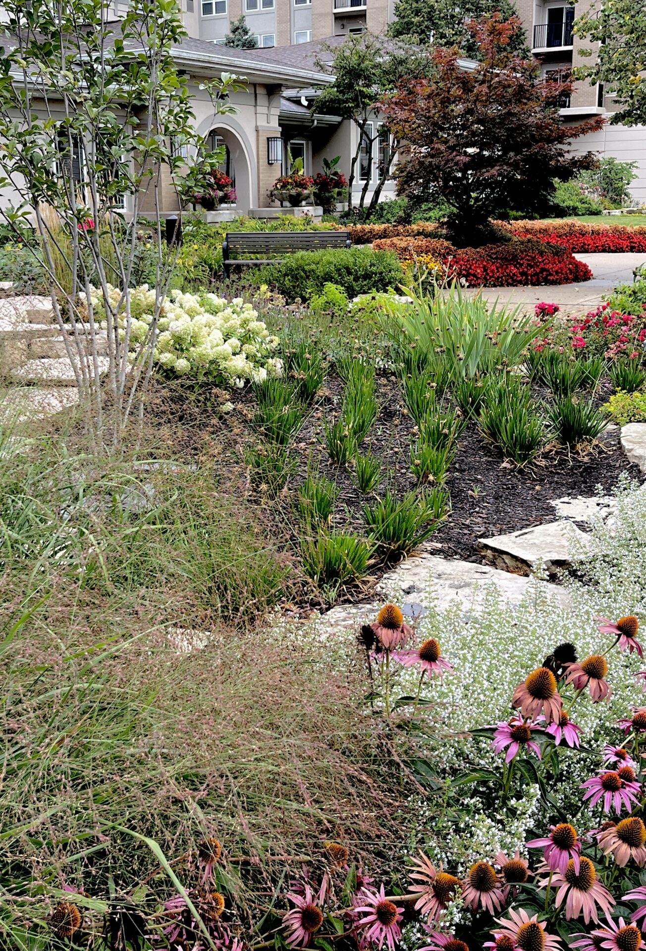Lush garden with vibrant flowers and greenery in front of a building entrance, featuring stone paths and well-maintained landscaping.