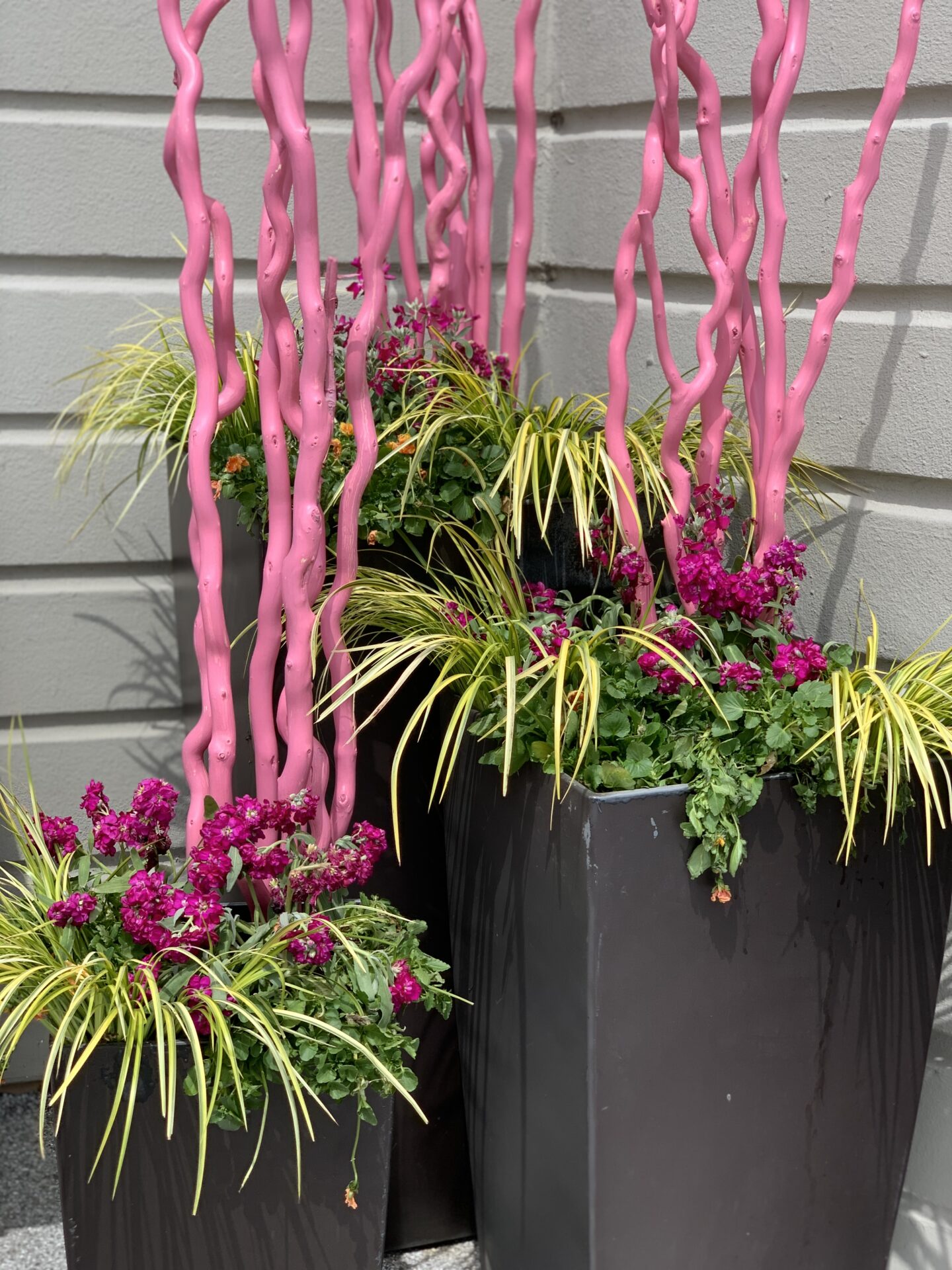 Tall grey planters with vibrant purple flowers and yellow-green foliage, featuring decorative pink twisted sticks, set against a light grey wall.