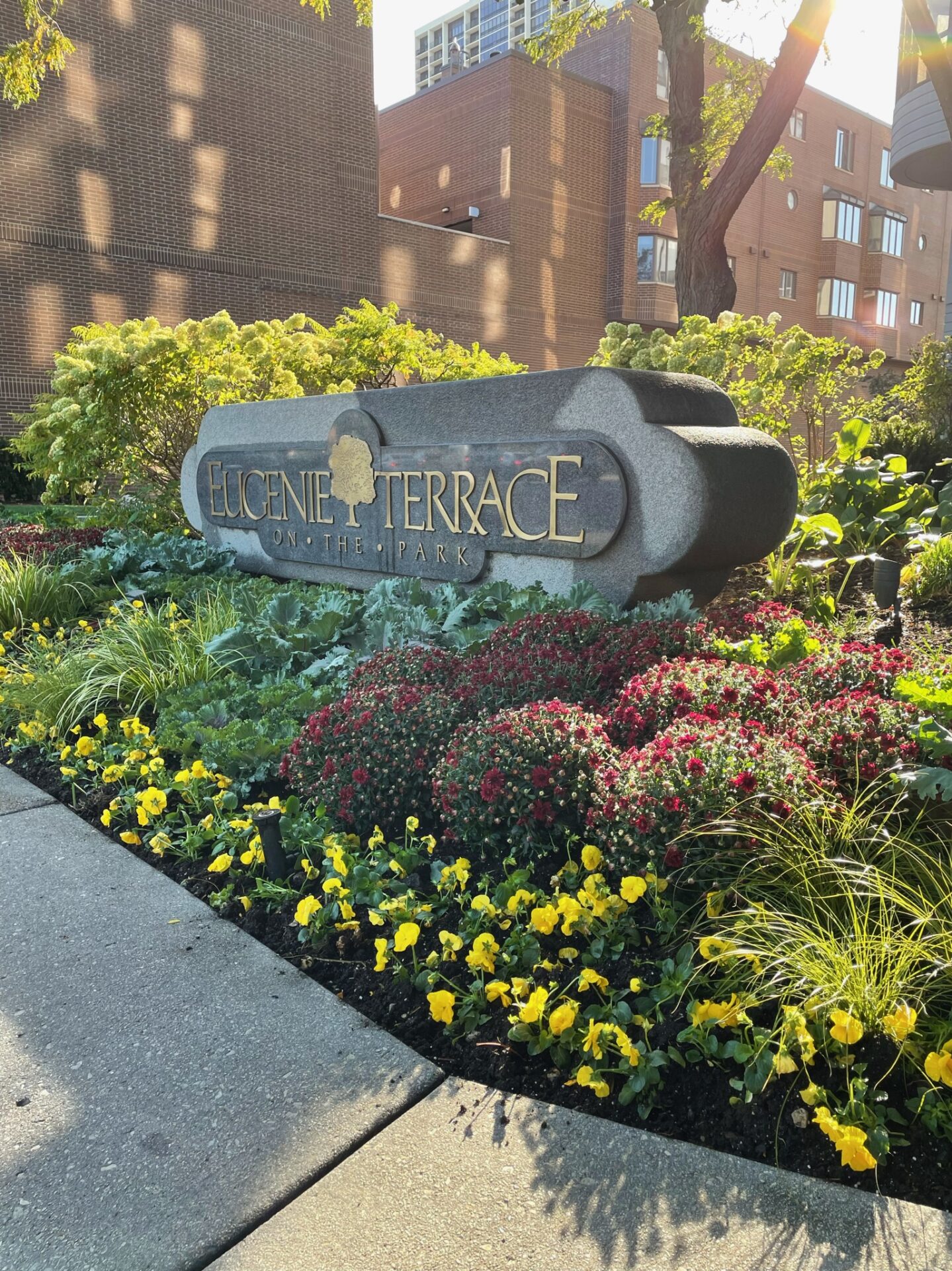 A sign for Eugine Terrace on the Park surrounded by vibrant flowers and greenery, beneath a sunlit modern building, creates a serene atmosphere.
