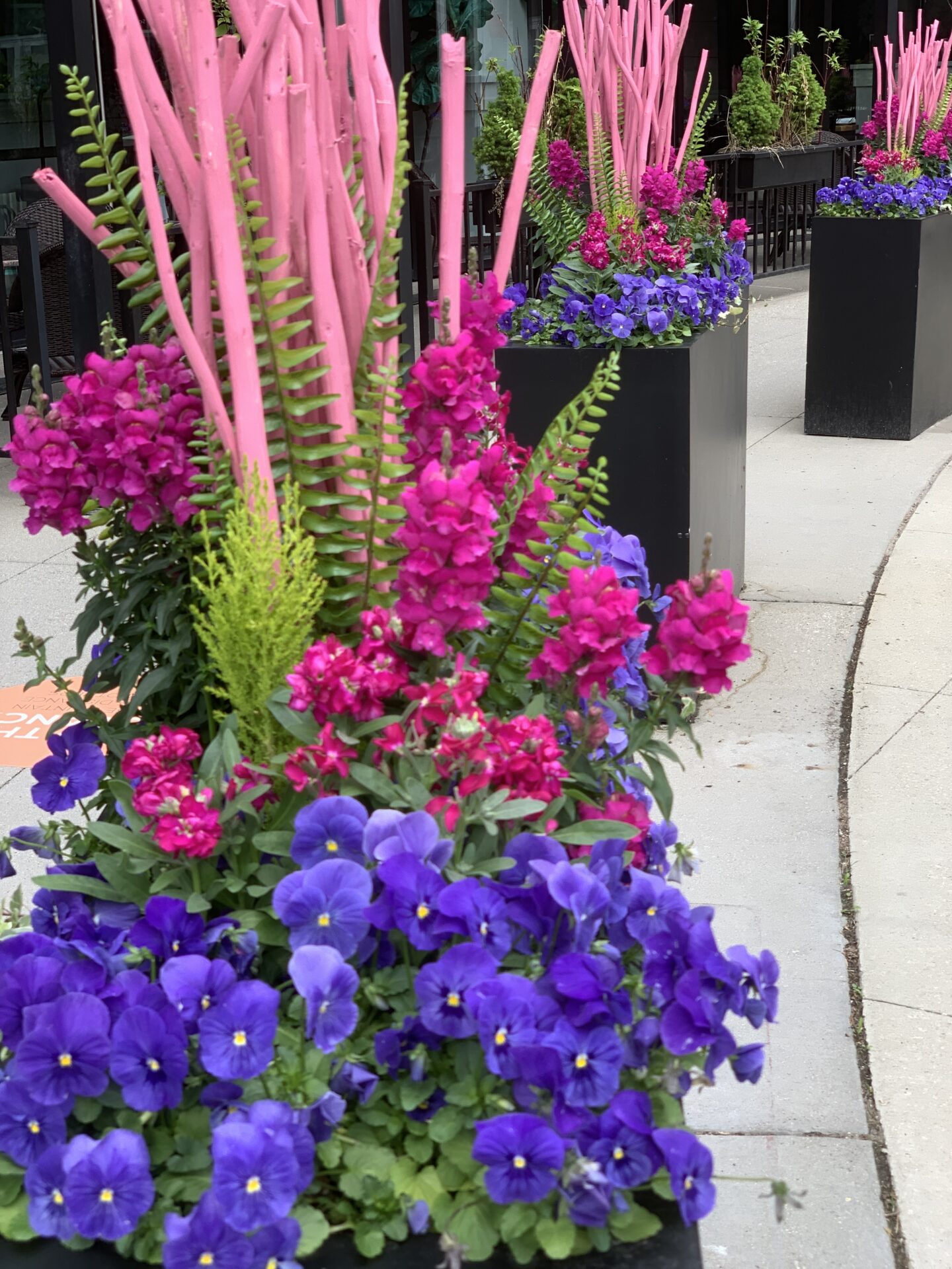 Colorful flowers with pink wooden sticks are arranged in black planters along a sidewalk. No recognizable landmarks or historical buildings are visible.