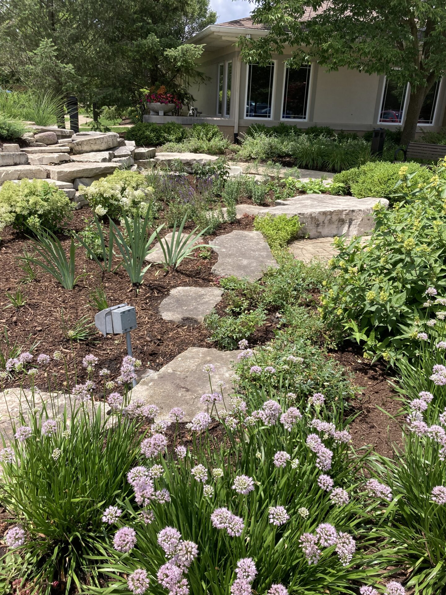 A garden with stone paths and purple flowers surrounds a modern building, featuring lush greenery and large windows under a partly cloudy sky.