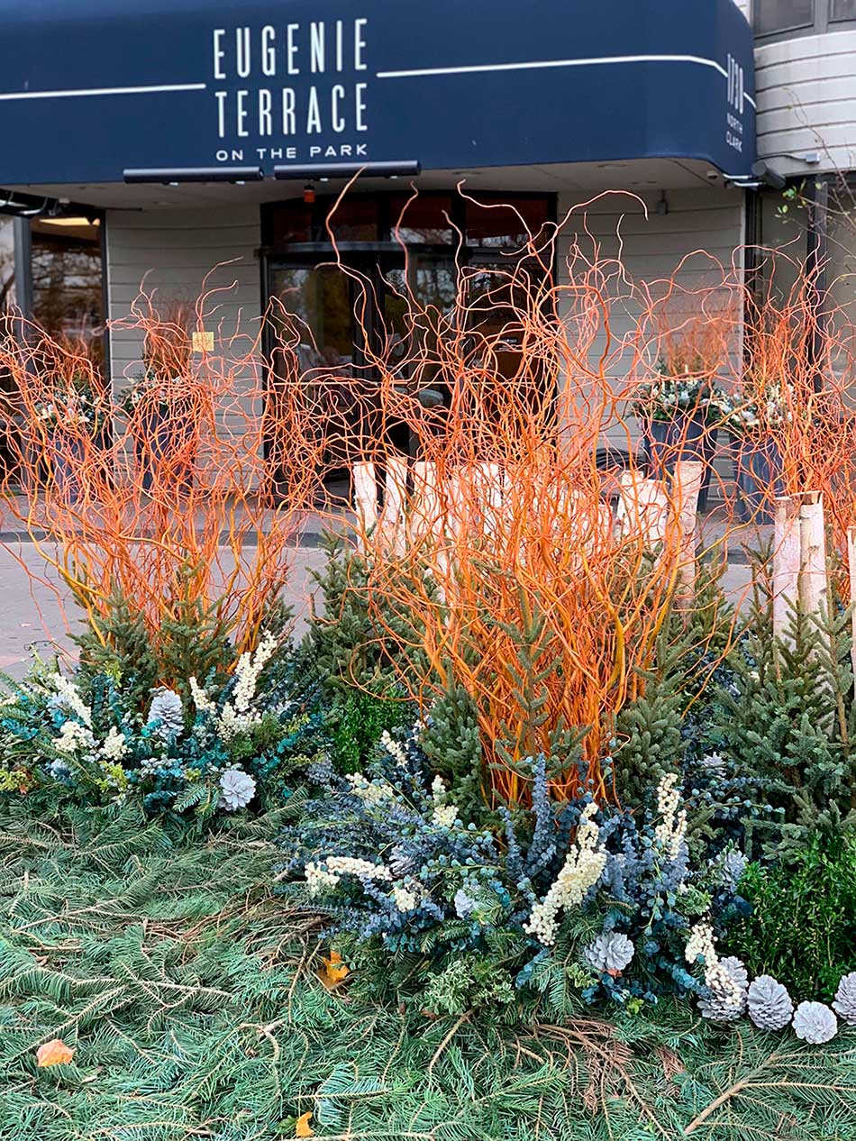 Urban building entrance features vibrant orange twigs and lush greenery, beneath a sign reading 