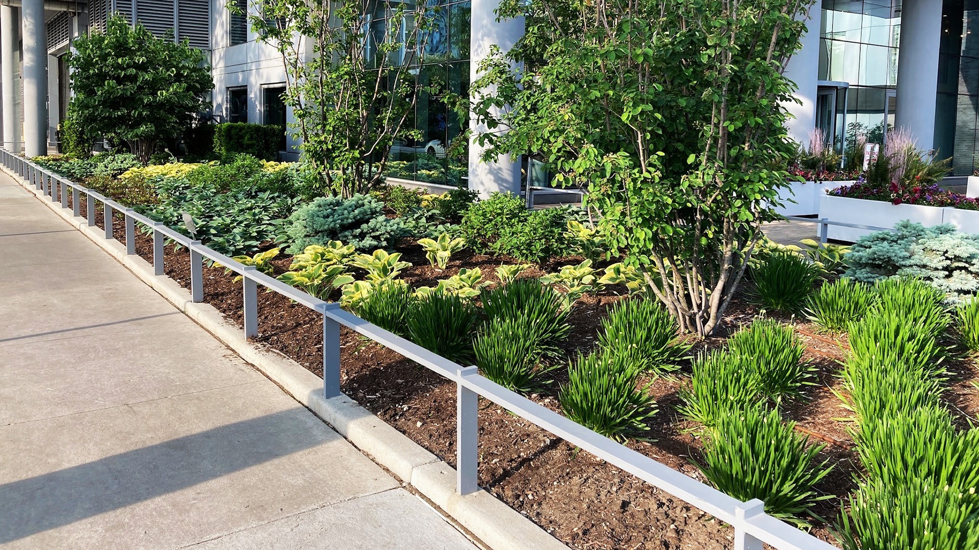 A modern building exterior with lush landscaping, featuring diverse greenery, shrubs, and a sleek sidewalk railing, bordered by reflective glass windows.