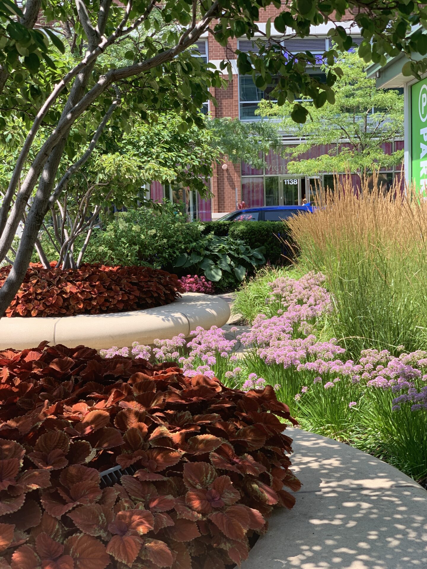 Lush garden with vibrant flowers and trees, alongside a contemporary brick building. Nearby, a person walks by a parked blue vehicle.