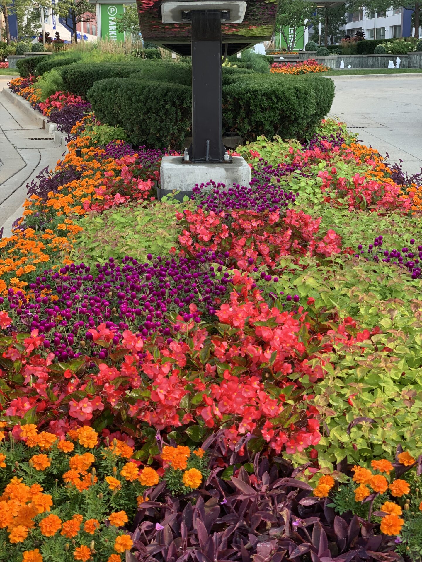 Vibrant garden with colorful flowers along a sidewalk, lush greenery, and urban surroundings. A parking sign is visible in the background.