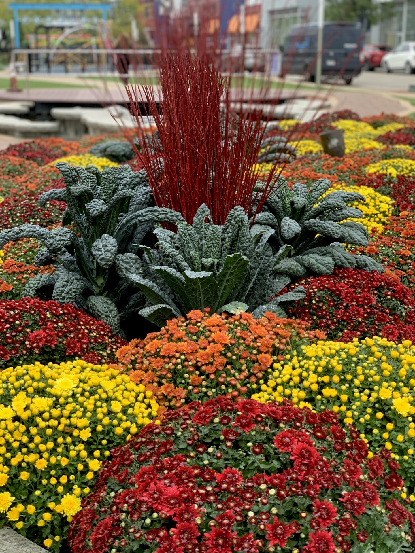 A vibrant garden display features colorful flowers and plants in a public urban setting. Nearby are parked vehicles and a person walking.