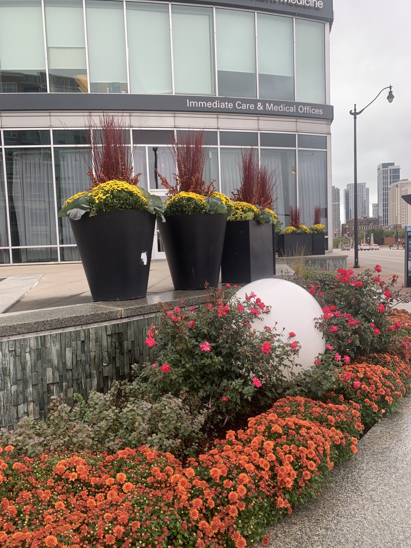 Modern medical office with large planters and vibrant flowers in front. Tall buildings visible in the background, creating an urban atmosphere.