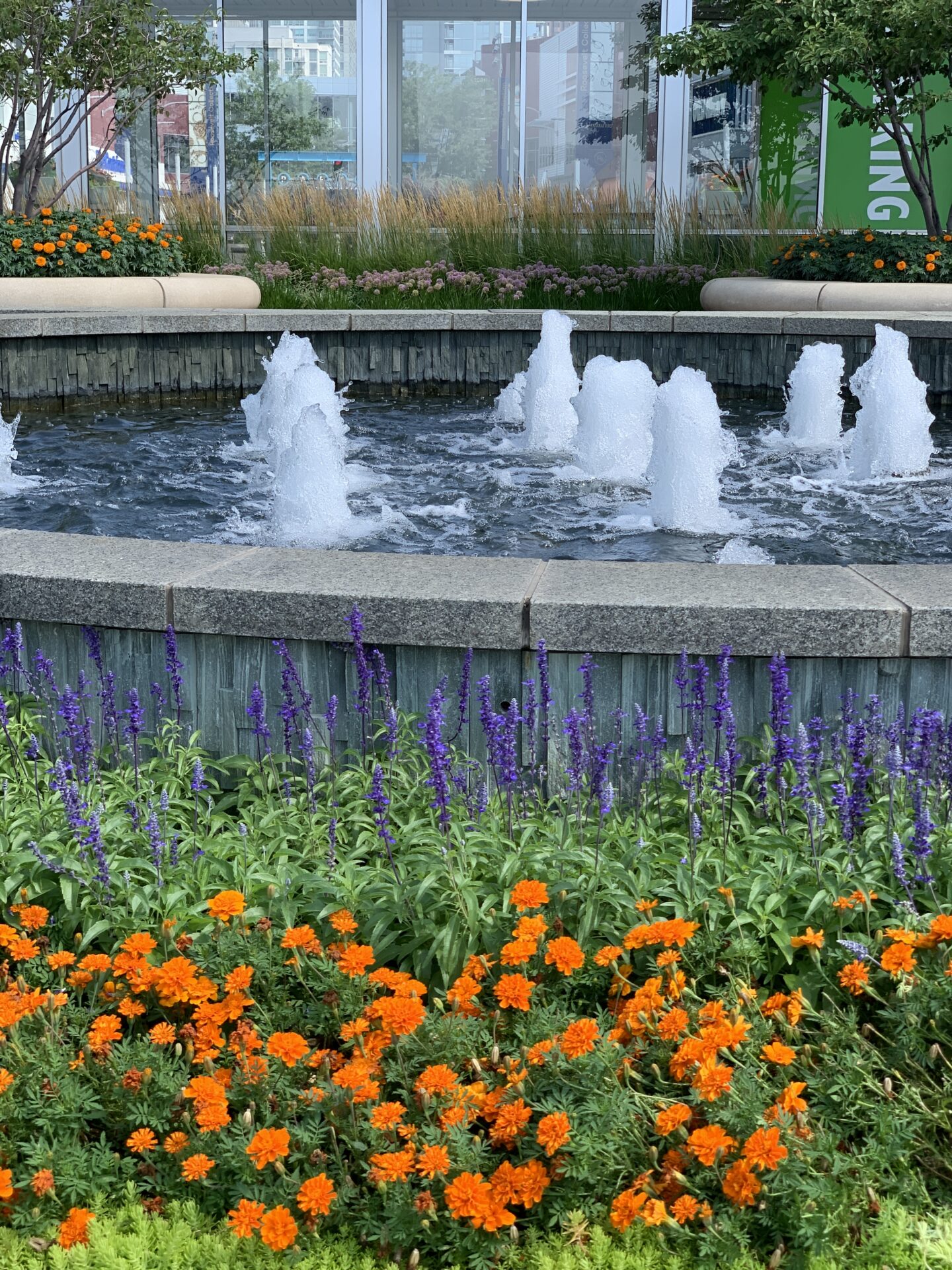 A circular fountain with bubbling water is surrounded by vibrant orange and purple flowers, against a backdrop of modern glass architecture.
