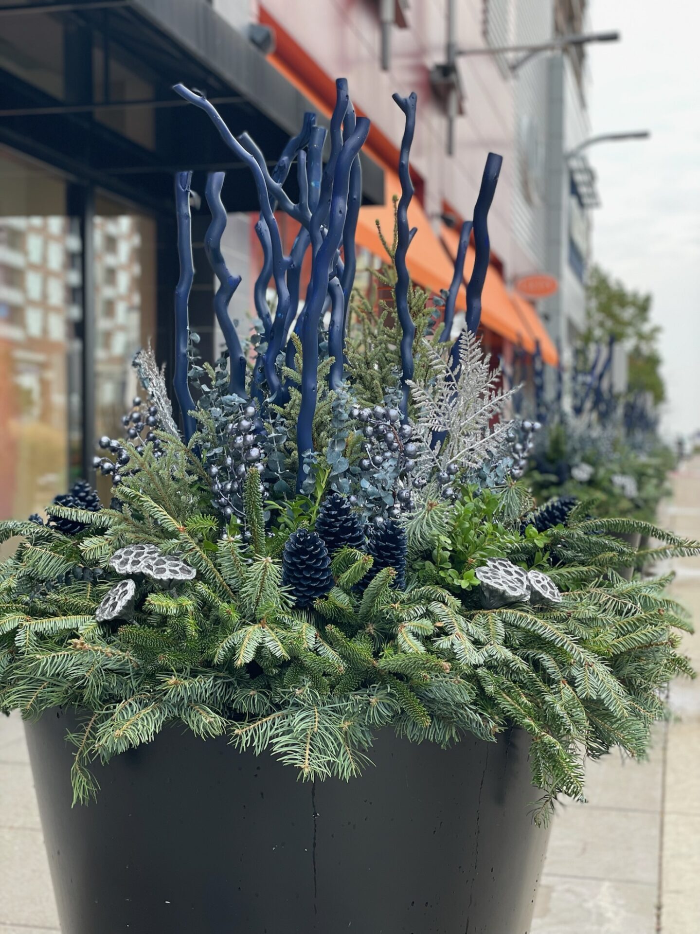 A large planter with blue branches, pine, and decorative elements is on an urban sidewalk, near modern buildings with orange window awnings.