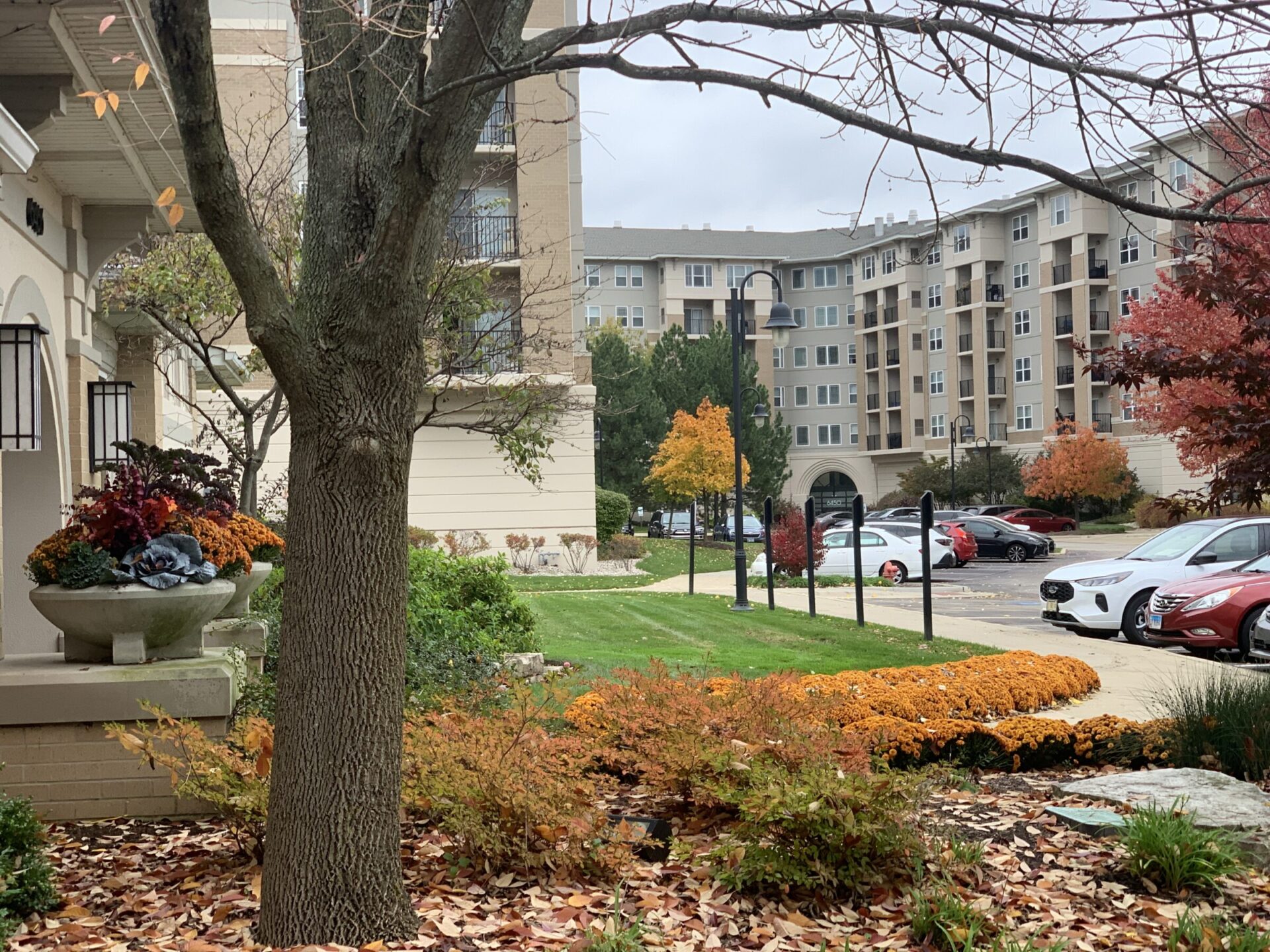 Autumn scene featuring an apartment complex, colorful trees, parked cars, and a flower-filled planter. Overcast sky creates a peaceful atmosphere.