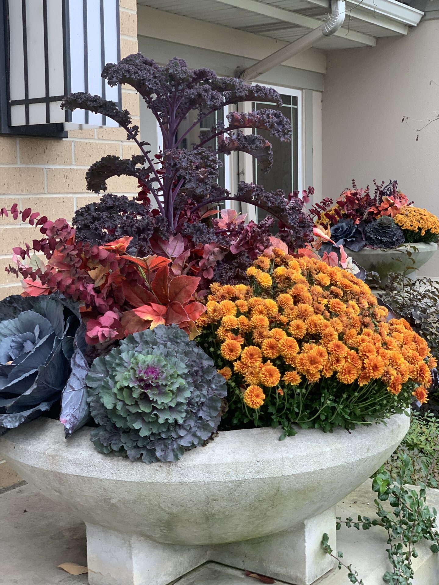 An outdoor concrete planter showcases vibrant ornamental kale, orange flowers, and autumn leaves, set against a brick and windowed residential building.