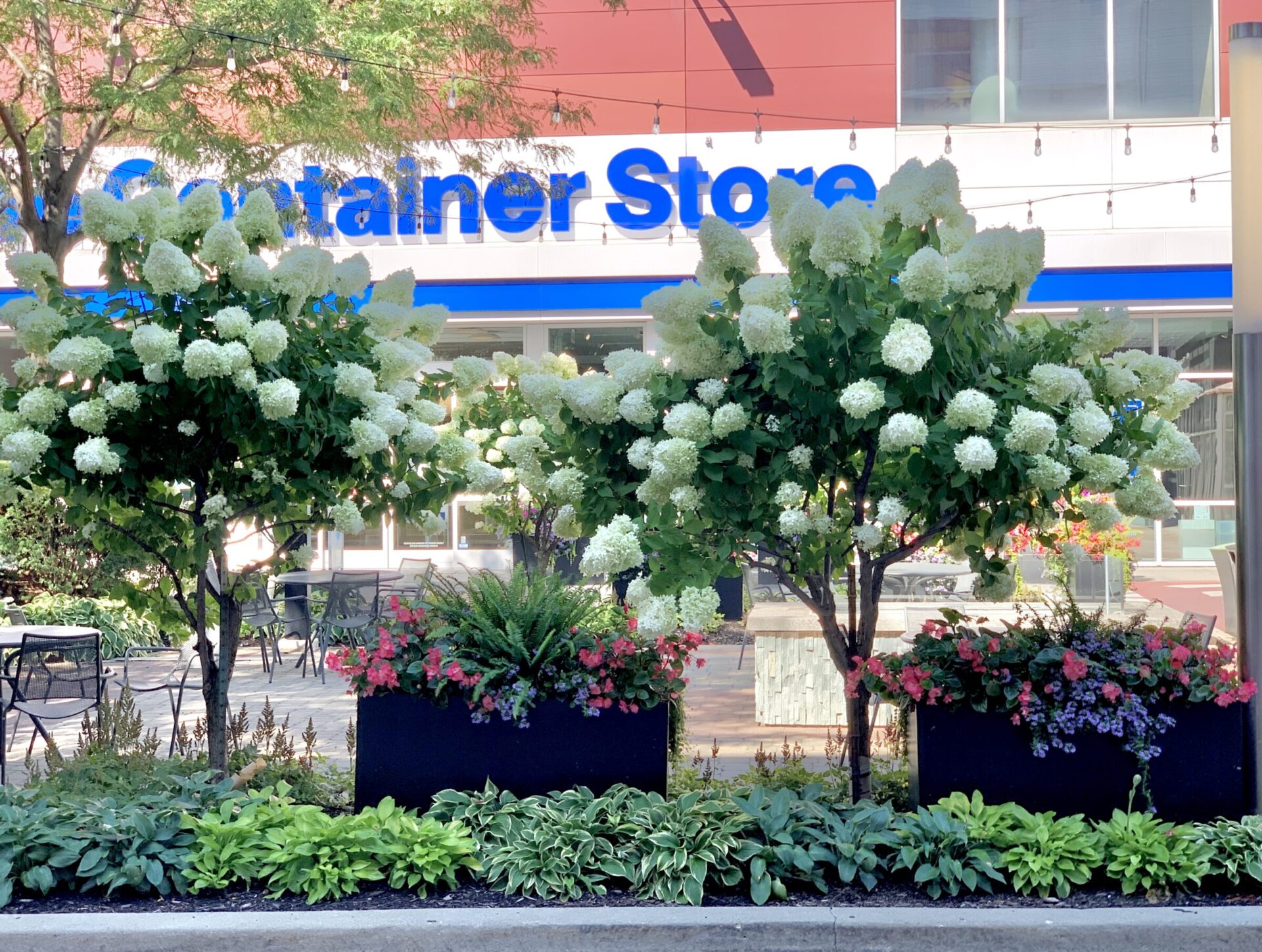 A vibrant garden with lush hydrangeas and colorful flowers sits in front of The Container Store, creating a picturesque urban setting.