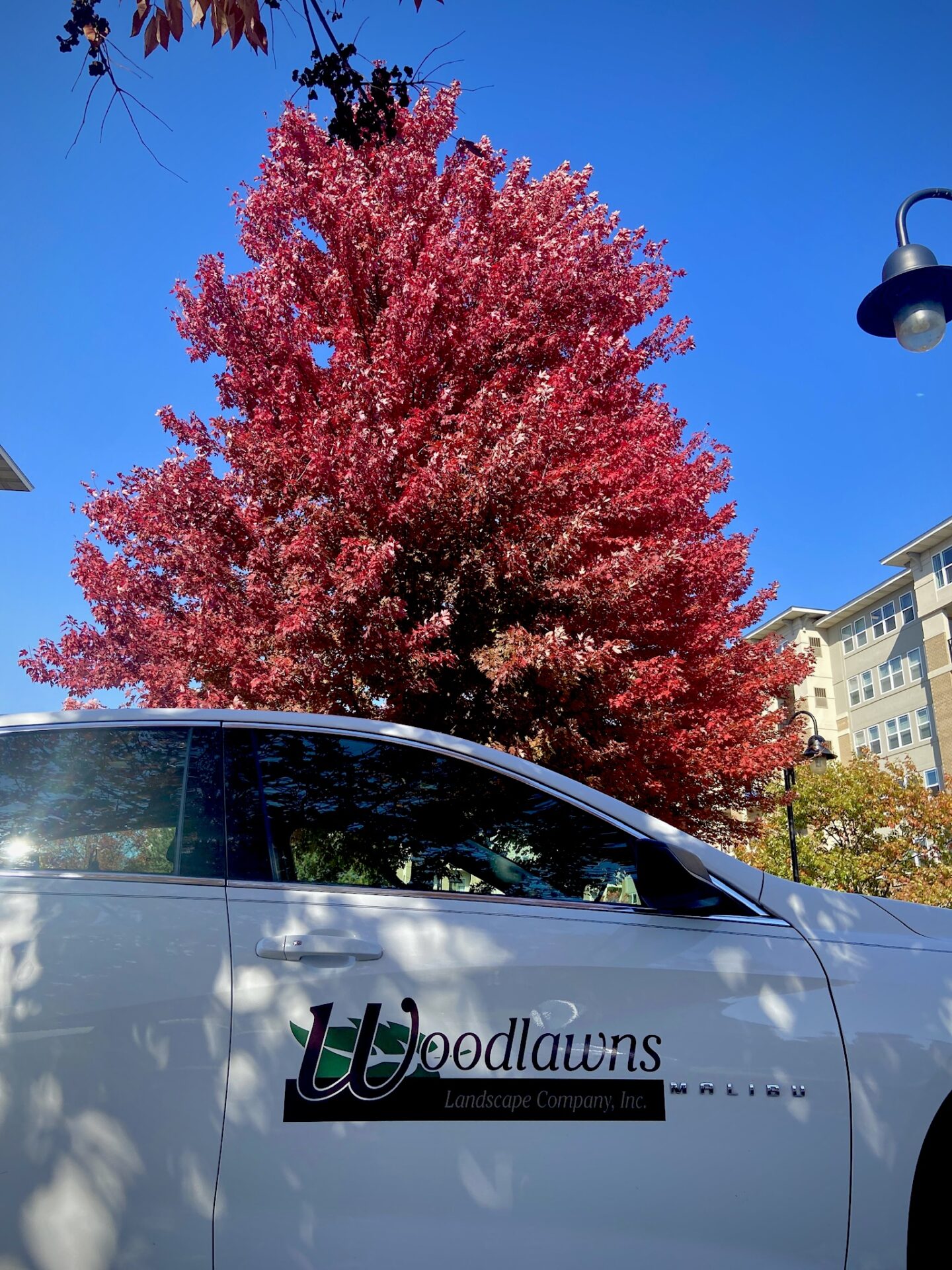 A white car with 