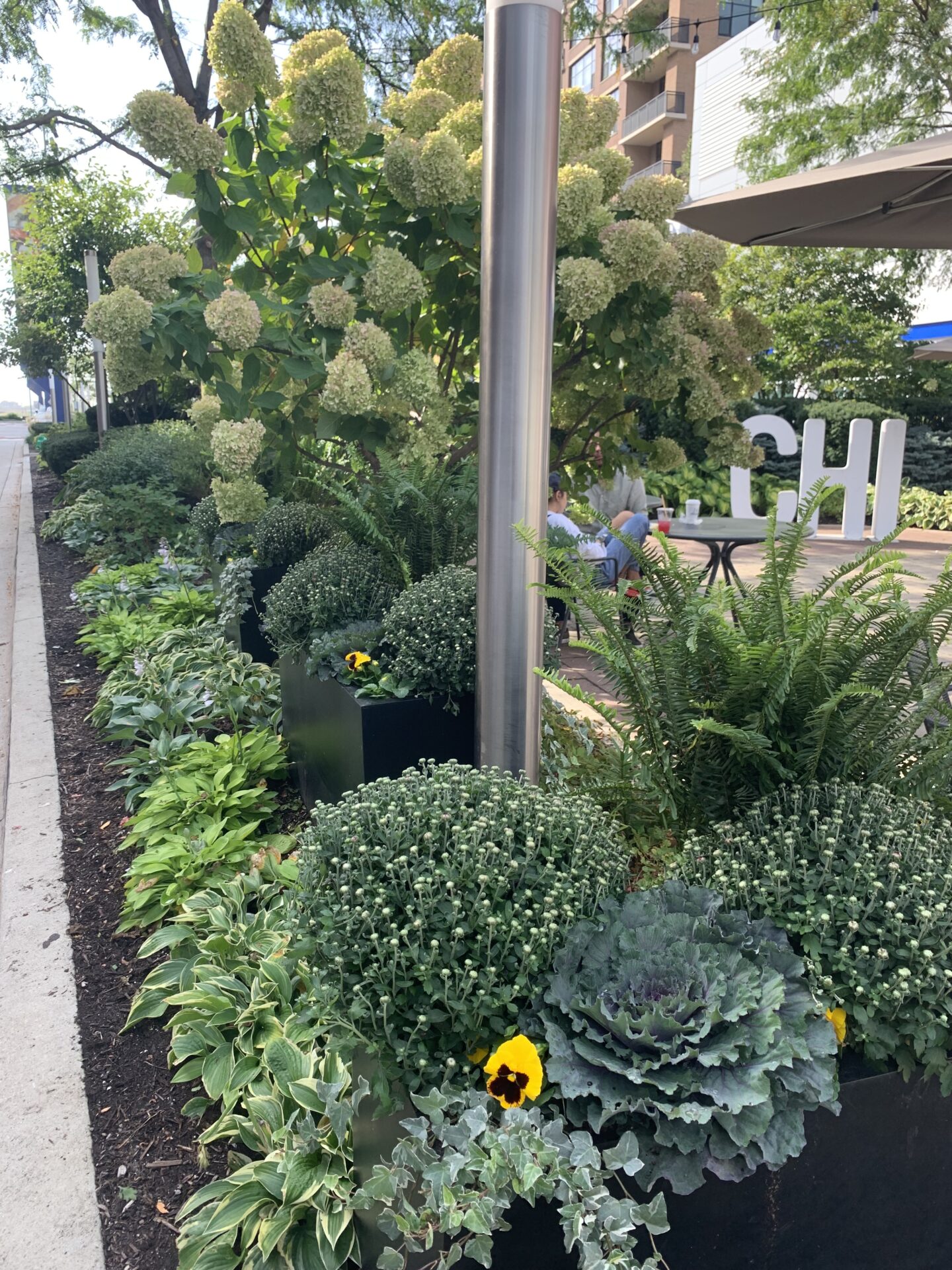 Lush urban garden with diverse plants and flowers. A person sits nearby. Large white 