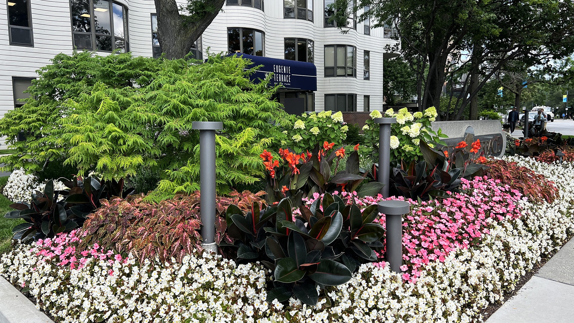 Colorful flowers and lush greenery adorn the entrance of Eugenie Terrace. A modern building stands behind, flanked by a tree-lined street.