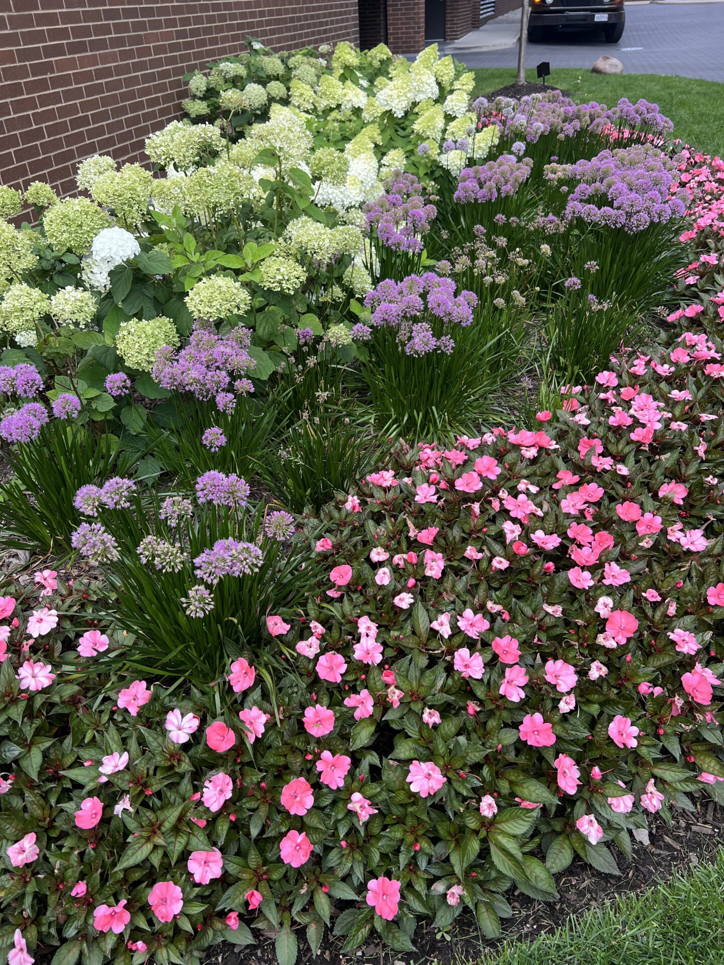 A vibrant flower garden with pink, purple, and white blooms lines a brick wall near a parked car on a paved surface.