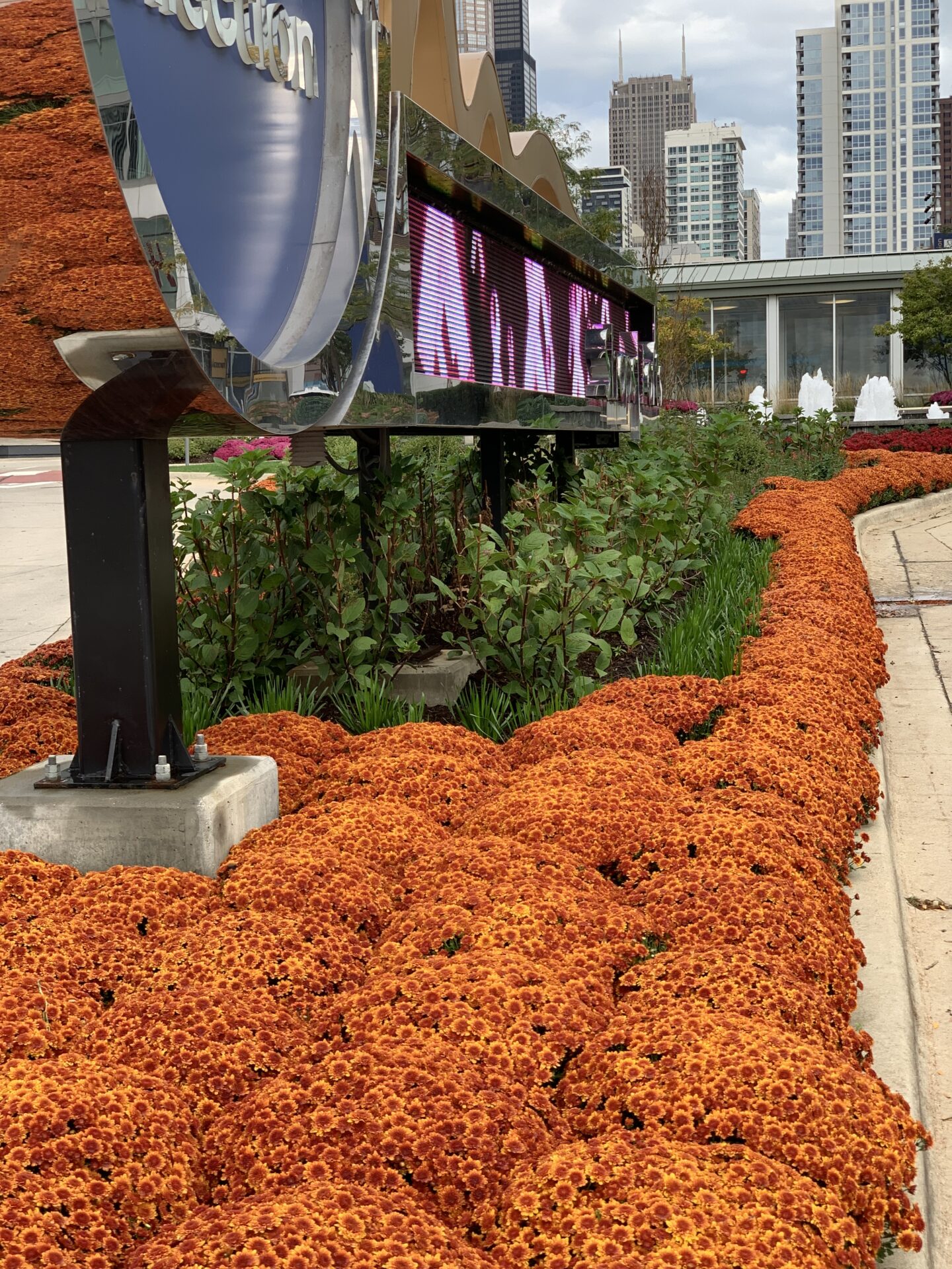 A path curves beside vibrant orange flowers, with downtown skyscrapers towering in the background and a modern glass building visible near a fountain.